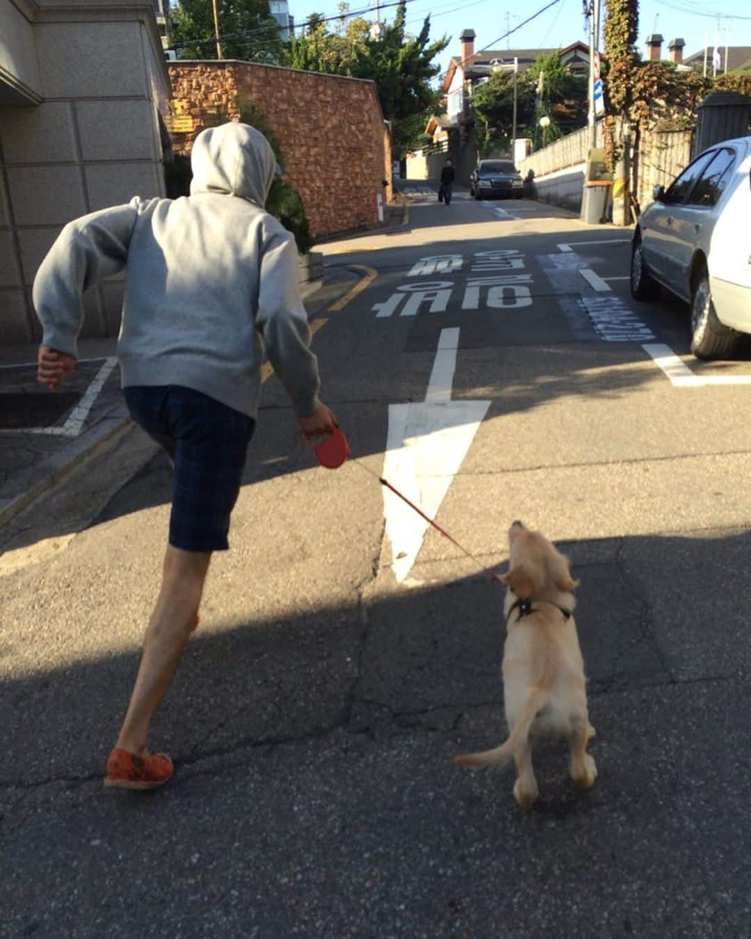 イ・ジョンシンさんのインスタグラム写真 - (イ・ジョンシンInstagram)「이 날씨 이 맘쯤 심바를 데려와서 그런지 쪼꼬미시절이 생각나네 정말 세상 귀여웠다」9月6日 17時22分 - leejungshin91