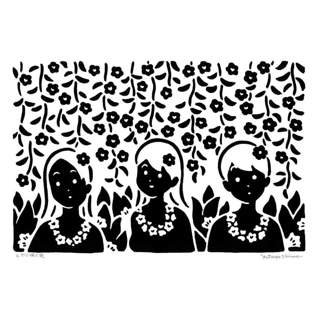 のインスタグラム：「「上から咲く花」  個展「島のはなし」 13:00~20:00 / ９月10日まで 高円寺VOID @void_koenji にて よろしくお願いいたします🏝️」