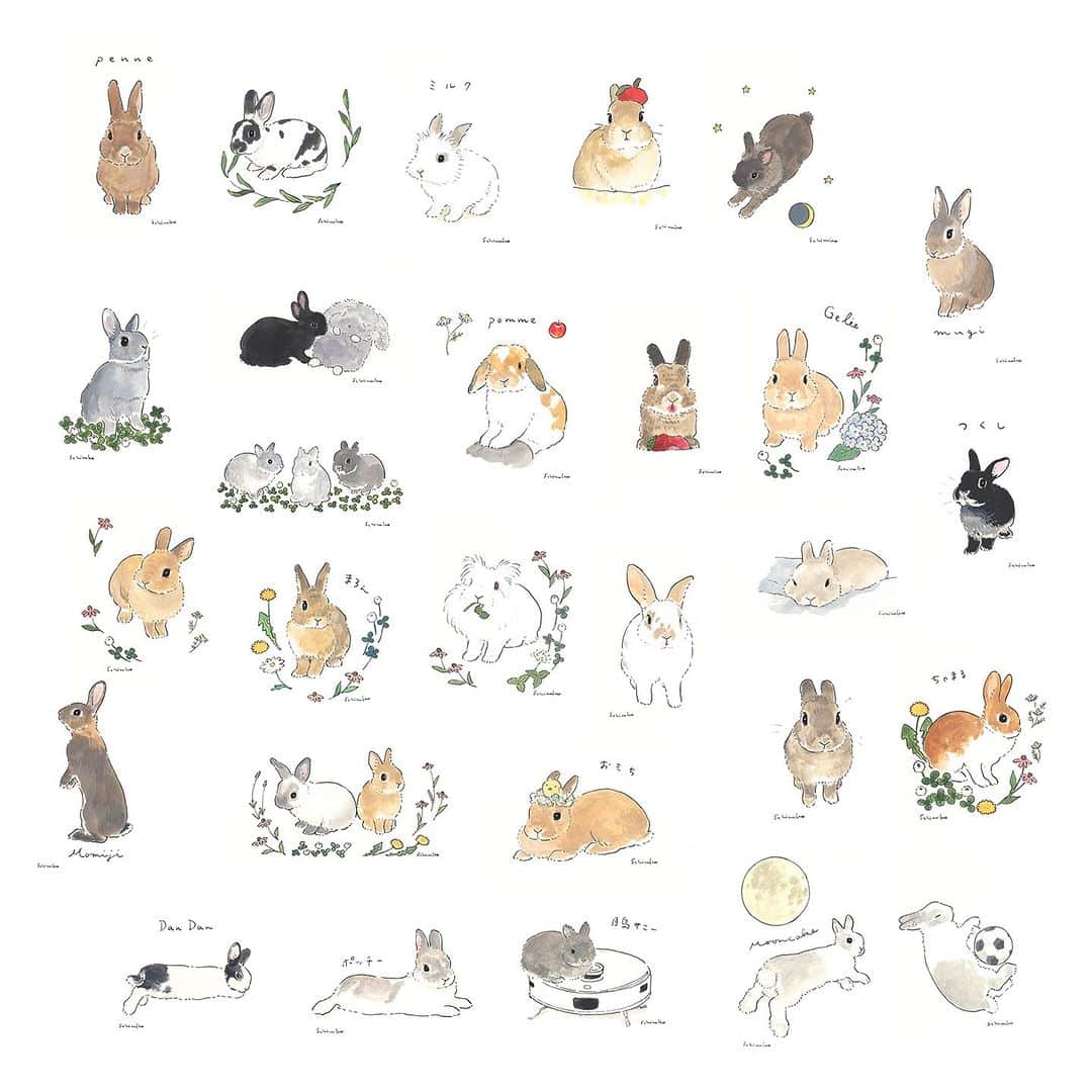 森山標子(しなこ)/Schinakoさんのインスタグラム写真 - (森山標子(しなこ)/SchinakoInstagram)「Here is a portrait of a rabbit I painted in August. Accepted monthly at Rabbit design store Rebekka @rebekka1020 . 8月のかわいいうさぎさんたち✏️」9月6日 12時14分 - schinako