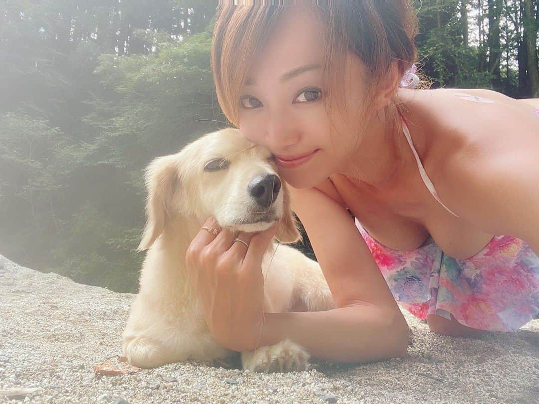 葵ゆりかさんのインスタグラム写真 - (葵ゆりかInstagram)「にょろ🐶❤️  酒好きに朗報です✨  ウコンは貼る時代！ ってことで 飲む前に、好きな場所に貼るだけの CarePatch貼る極を試してみたよ✨  貼るだけで、翌日の二日酔いがないって幸せ😍 お試しあれ❤️  #貼るウコン　#carepatch貼る極 #酒飲み　#お酒　#酒好き　#酒好き女子　#わんこ　#わんこのいる生活 #愛犬　#にょろ　#ミックス犬　#ミニチュアダックス　#パピヨン　#マルチーズ　#犬バカ部　#instadog #dog #水着　#ビキニ　#bikini #乾杯　#🍺」9月6日 13時30分 - yuriyuricchi