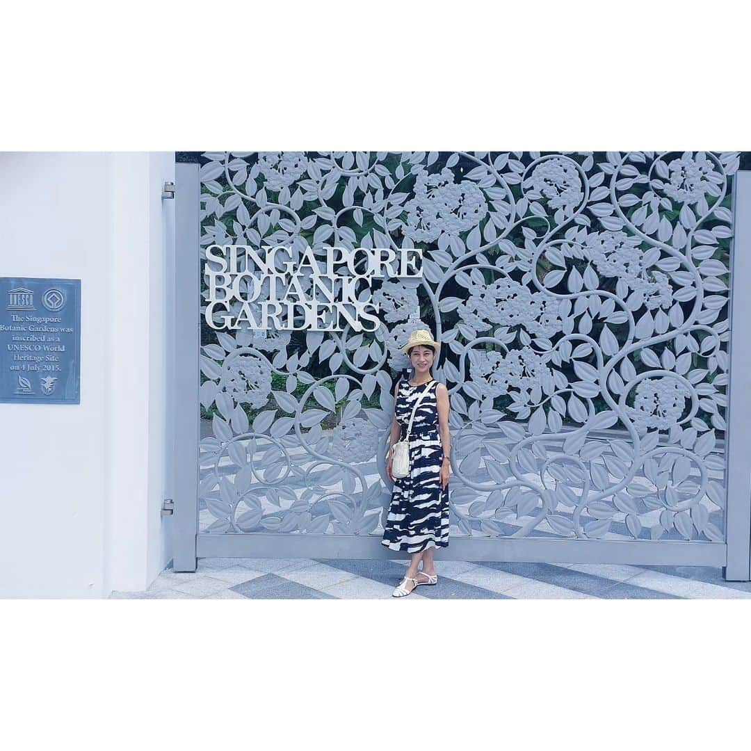 岩山立子さんのインスタグラム写真 - (岩山立子Instagram)「シンガポール散歩続き👣  シンガポールボタニックガーデンはシンガポール初の世界遺産だそうです  緑に癒される…🌱  #singapore  #singaporebotanicgardens」9月6日 13時35分 - jazzestme