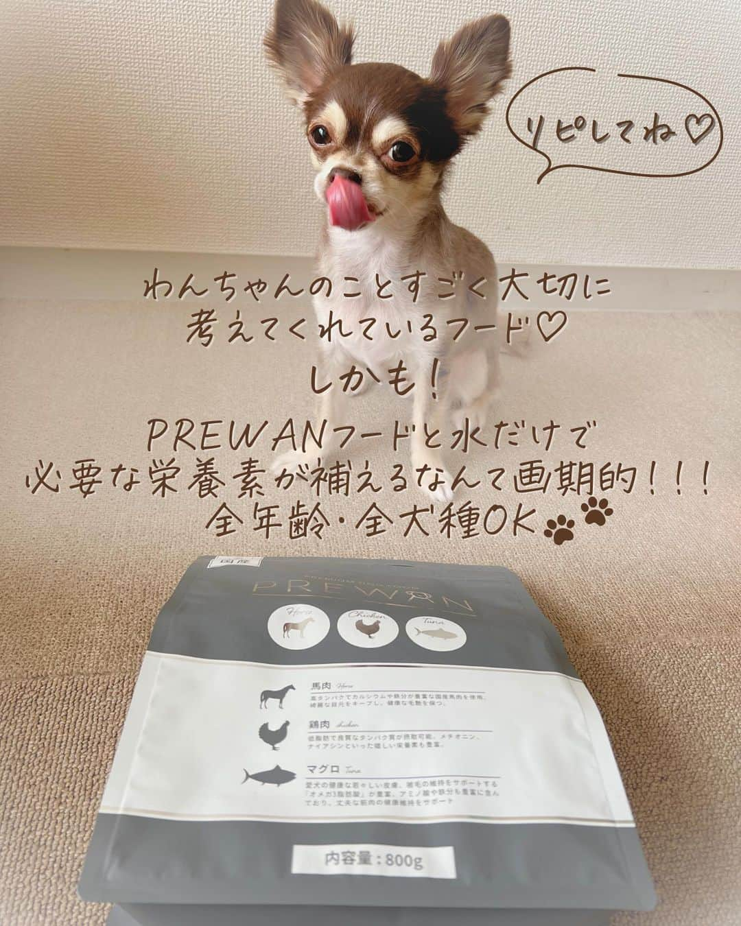 花咲いあんさんのインスタグラム写真 - (花咲いあんInstagram)「朝倉未来さんプロデュースの PREWAN @prewan_official  きなちゃん @kinyakooooo と試してみました🐾  わんちゃんの身体のこと すごく考えてくれているフードで 合成添加物は使用せず、安心安全にこだわったヒューマングレード品質✨️かつお節のいい香りで食いつきもバッチリだった✨️👌  スーパーフードの「クマザサ」や、筋肉の合成に必要な必須アミノ酸の「HMBカルシウム」が配合されていて善玉菌を増加し腸内環境を整えてくれるのも魅力！！  腸は第2の脳と言われるぐらいメンタルや脳の発達に影響すると言われてるから愛犬も大切にしてあげたいよね！！✨️  そして @prewan_official さんは 私も気になっている問題の ｢殺処分ゼロ」の実現を目指して 売上の一部を保護犬猫団体へ支援できる取り組みをしているそうです🌸 素晴らしい…✨️  #PREWAN　 #プレワン　 #PREWANドッグフード」9月6日 19時00分 - ohanachan_087087