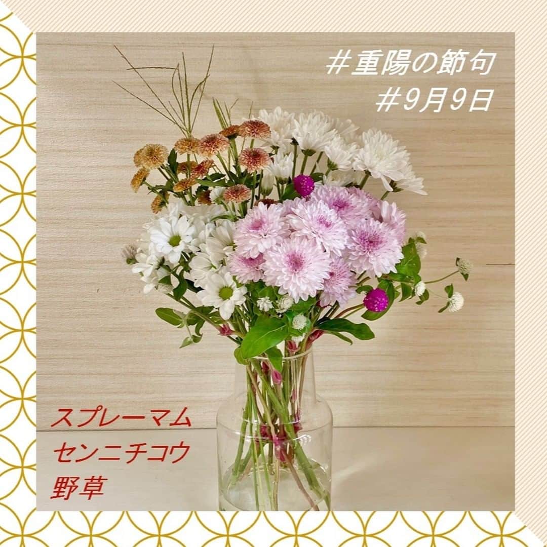 きいちゃんのインスタグラム