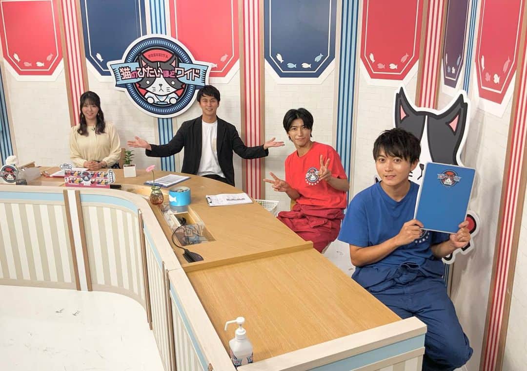 猫のひたいほどワイドのグルメインスタ