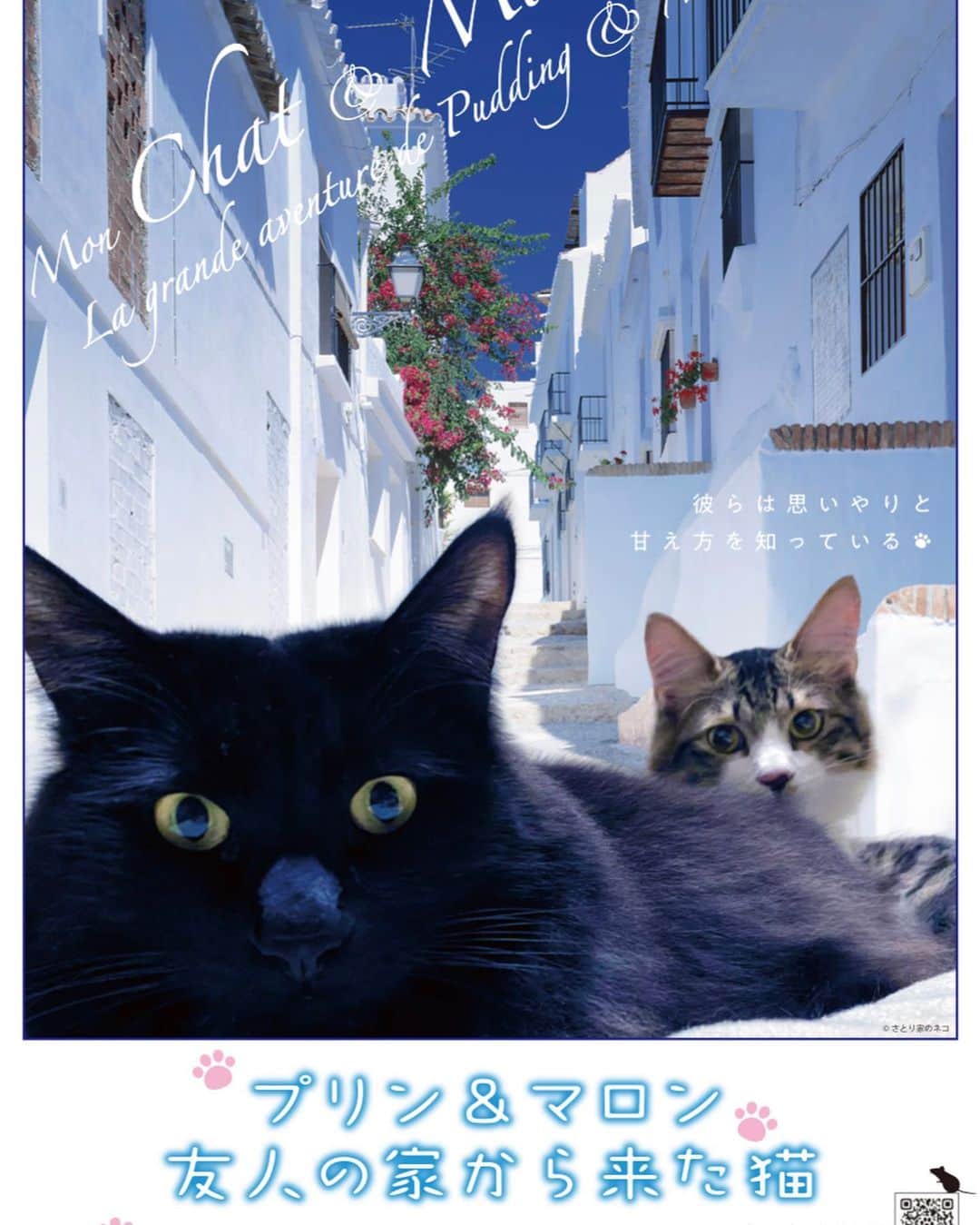 伊藤さとりさんのインスタグラム写真 - (伊藤さとりInstagram)「猫好きの皆様、 ご自身のネコのポスターを作ってくれる 映画キャンペーン実施中です！  13年間連れ添ってくれたネコのガブリエルや、 23年生きてくれたミーシャ、 今、そばに居てくれるプリンとマロンも ステキな映画ポスターに。  フランス映画『ルー、パリで生まれた猫』期待、感想コメントキャンペーンですよーーー🐈🐈‍⬛  #ネコ好き集まれ #ネコ映画  #ルーパリで生まれた猫  #おすすめ映画」9月6日 15時28分 - ito_satori