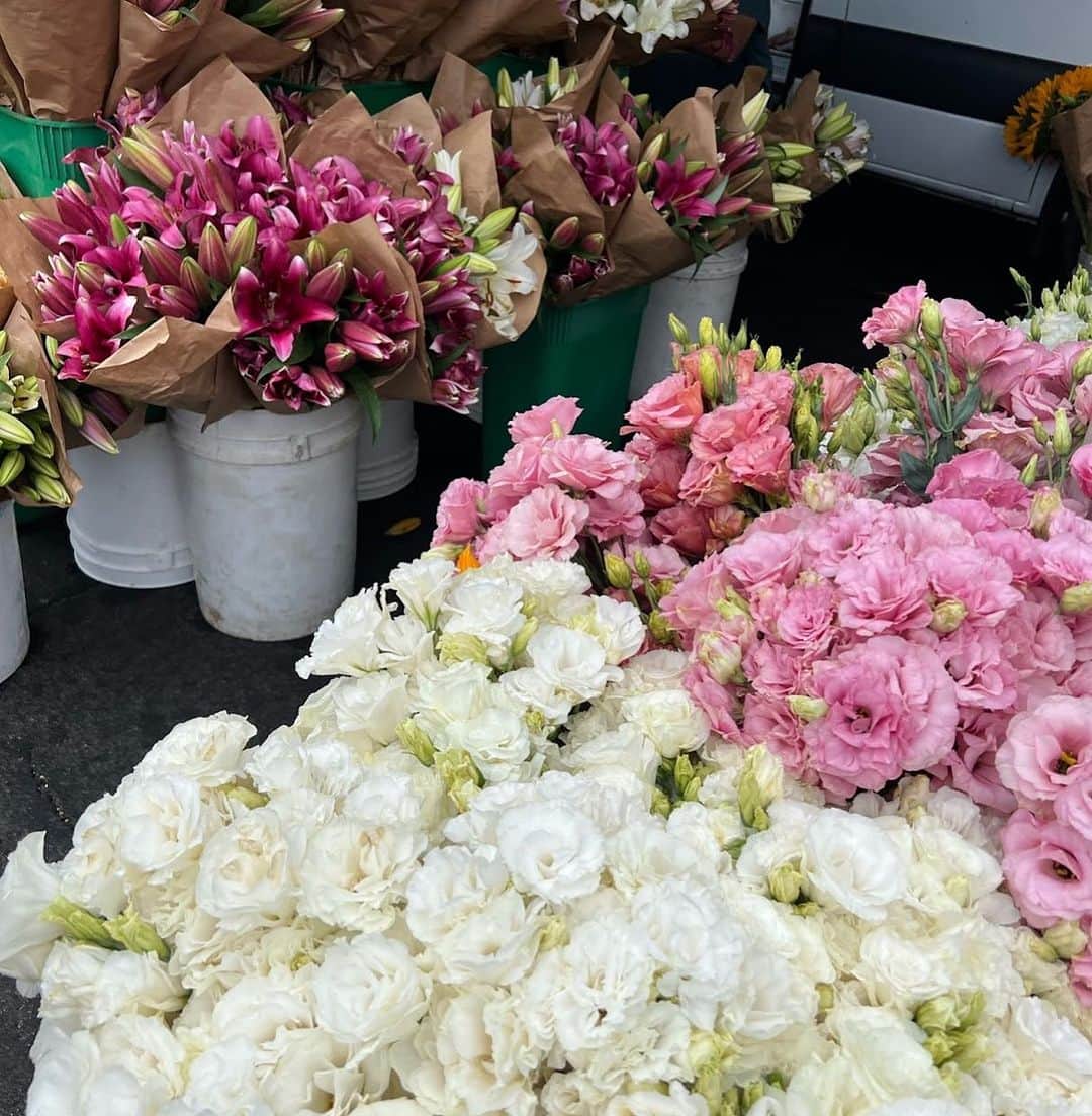 ダニエル・パナベイカーのインスタグラム：「Mid-week blooms 🌸」