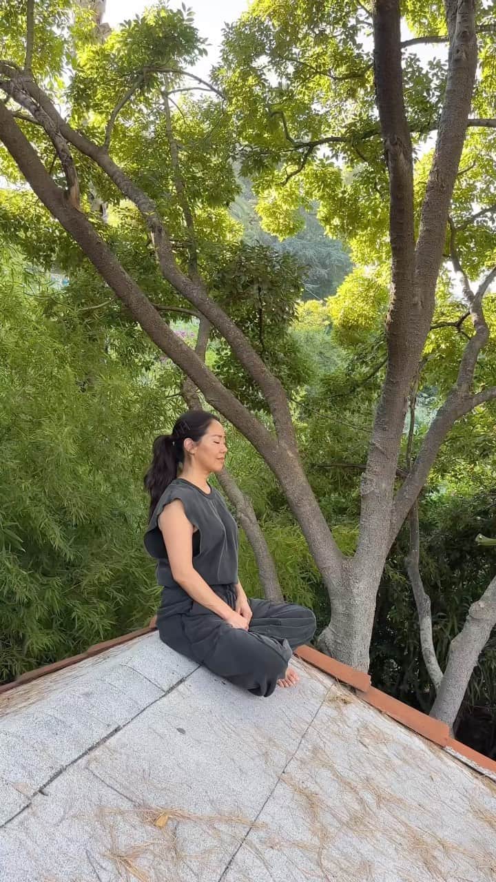 Kara Yoshimoto Buaのインスタグラム：「Alchemical Beauty x Mindful Movement 🌿  👉 Find a special space for your movement  Wake up your spine to rev up your engine  Feel each 12 vertebrae of your spine - this includes your neck!  Gently hold in your gut throughout exercises  Shake your whole body for a few minutes   Opening like a Lotus (3, 6 or 9x)  Whoosh (3, 6 or 9x)  Shake again all the way over dangling your arms and let the energy whoosh over your head   Roll up slowly vertebrae by vertebra  Sit and feel the flow   INHALE & FLEX ~ 3x Stand, breath in & hold, as long as you can while you squeeze every muscle in your body including your head, face, pelvic floor & feet, then exhale & drop the shoulders 🤍  •  #alchemicalbeautybykara #simplebeautybykara #karayoshimotobua #biomagneticfield #alchemicalbeauty #mindfulmovement #morningrituals #morningroutines #morningmovement #mindfulness #mindbodysoul #mindfulmoments #mindfulnesspractice」