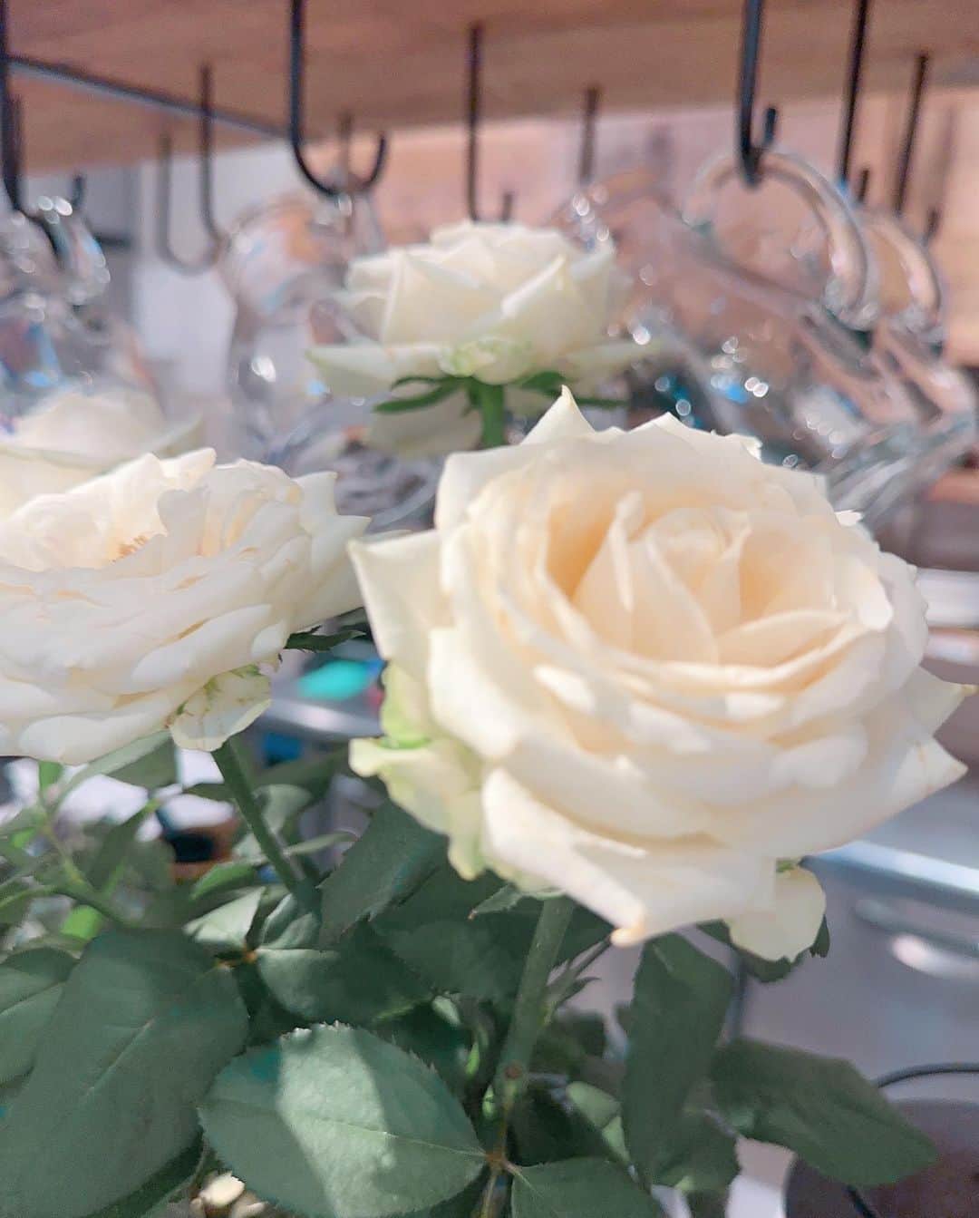 井上ほの花のインスタグラム：「⭐️🐻  ちょっとの時間でも寄りたい場所。 あまりゆっくりはできなかったんだけど、お花と紅茶のおかげで心がすっごく癒されました〜 紅茶を飲む前に香りを楽しむのです！ 目を閉じて深呼吸ね。本当にすごい力だよね〜感謝。  〜バラという名の花は名前を変えても 香りは変わらない名前に意味はない〜  バラの香りが好きになってきたのは大人になった証ですなっ  #ほの花とお花のツーショット」
