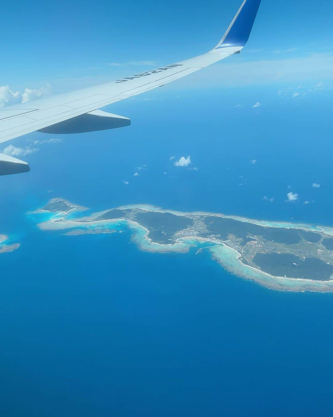 アレサ・ネスミスのインスタグラム：「夏の思い出☀️Part２  沖縄って異国だね 素敵だね🫶  ハート模様の猫2匹も遭遇したから今期は運気大だと信じてる（金運）🥺💓  世界遺産の斎場御嶽（せーふぁうたき）沖縄最高の聖地だけあって特別なエネルギー感じました✨  オラにパワーを＼(‘∀’)／  またすぐ行くぞ！♥」