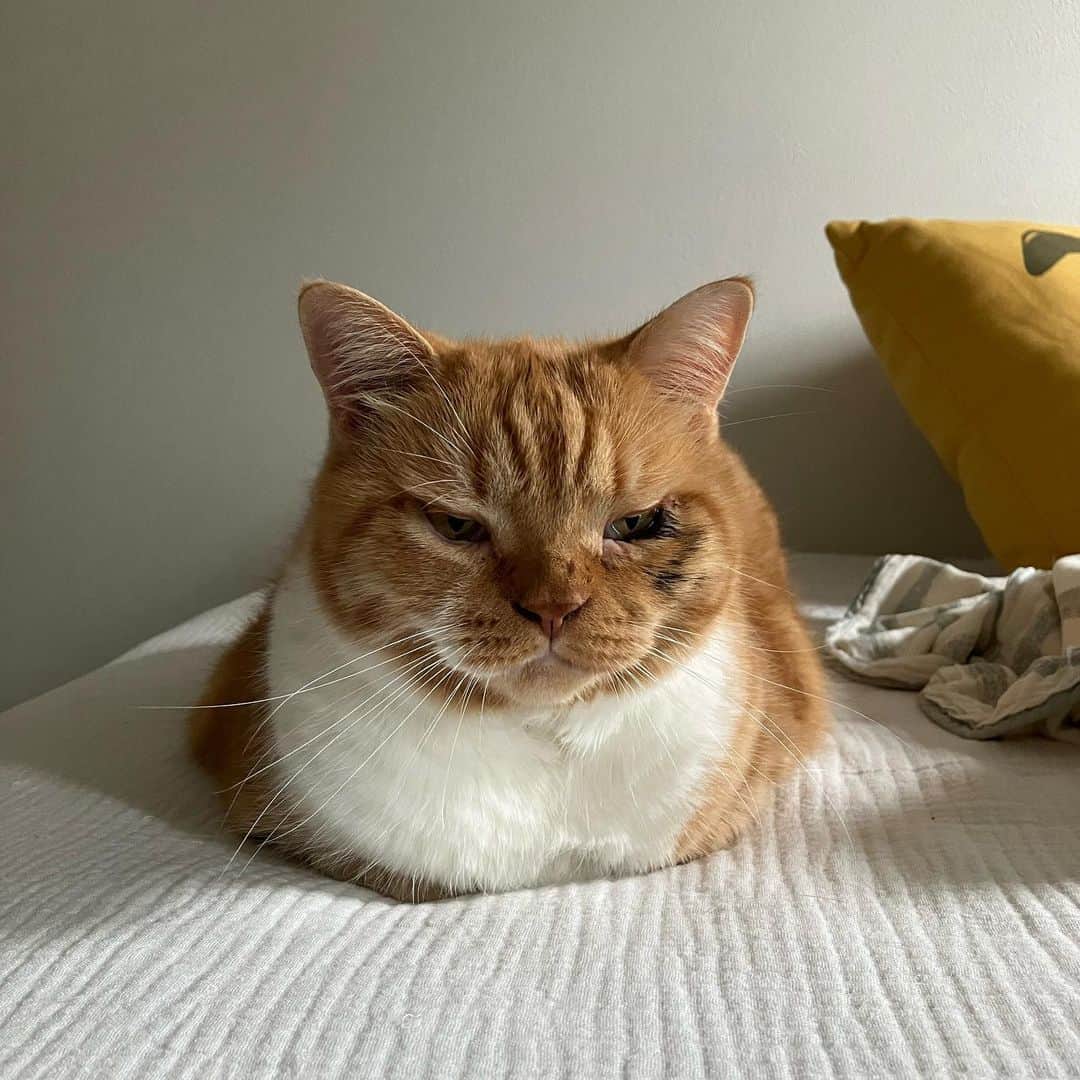 umeのインスタグラム