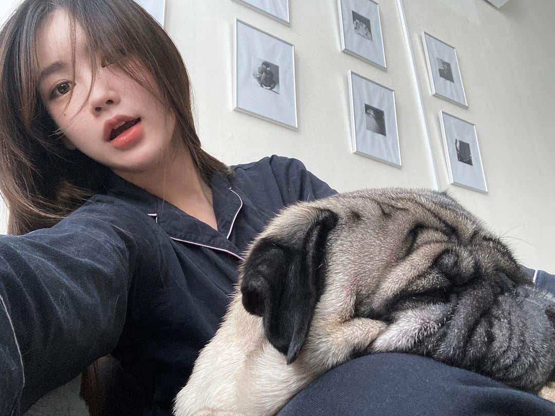 イ・ミンジュのインスタグラム：「(조금 큰) 무릎 강아지 🐶」