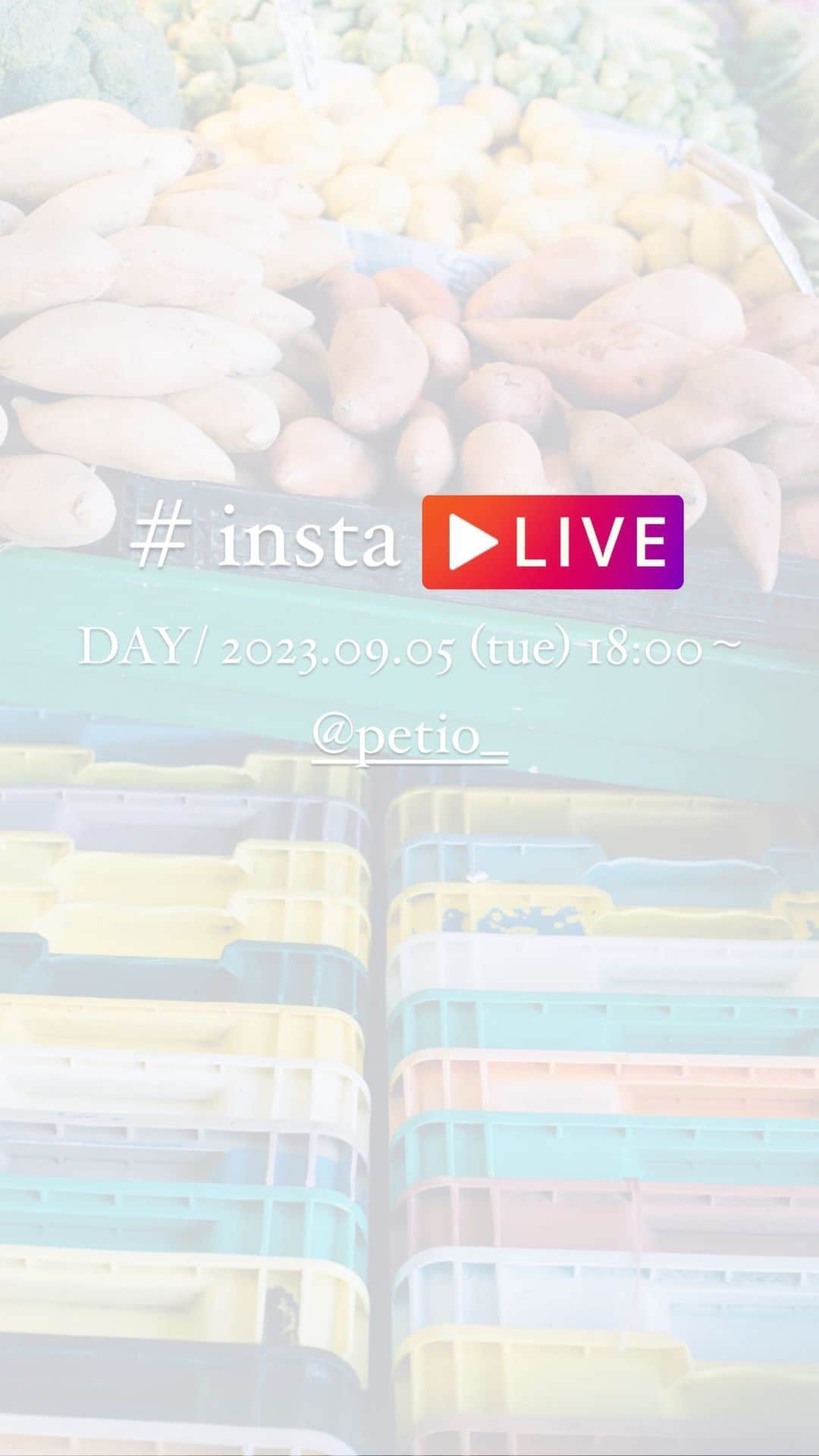 Petioのインスタグラム