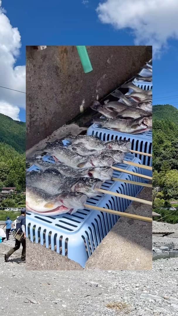 矢部ユウナのインスタグラム：「久しぶりの#うめたま企画🐟🎣 東京のお出かけにいかがですか？🙌🏻  ①奥多摩フィッシングセンター　 with @dtdq2828 & @umetama.official   小さい頃親戚のおばさんがニジマスの養殖場で 働いていてよくばあばとニジマス釣りに行ってたのを思い出した😳  大人になってから魚に触ってなくて 触れるかな？思ったけど釣り始めたら楽しくて 子供の頃に戻った感覚。  こんなに釣りが楽しいだって思ったし、 そのまま釣った魚をBBQで食べれるの！  動画の最後の　ファァー！て反応が物語ってるんだけど ものすごく魚美味しかった🐟🎣🙋‍♀️  みおちんの言う通りふっわふわで塩っけがちょうどよくて 完璧だった◎  また食べたいし友達連れて遊びにいきたい！ 奥多摩フィッシングセンターみんなもデートにいかが？  🎧KAKATO の【わーい】がぴったりすぎた旅。まだまだ投稿は続きます☺︎  うめたまアカウントもチェックしてね！@umetama.official  #umetama #奥多摩　#つりぼり  #なつのおもいで  #東京遊び場　#楽しすぎた　#デート　#にじますうまい　😋」