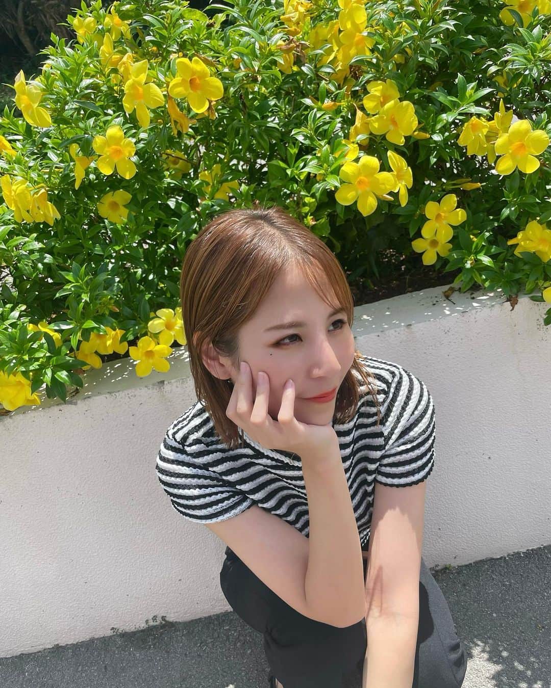 五十川ちほのインスタグラム：「石垣のハイビスカス🌺 黄色とピンク(ﾉ)･ω･(ヾ) . 耳につけたかったけど落ちてるの無かった🥺🥺 . . . #石垣島 #石垣島旅行 #ハイビスカス #ハイビスカス🌺 #沖縄観光スポット #summerstyle #ishigakiisland #ishigakijima #japantrip #japantravelphoto #hibiscus #okinawajapan」
