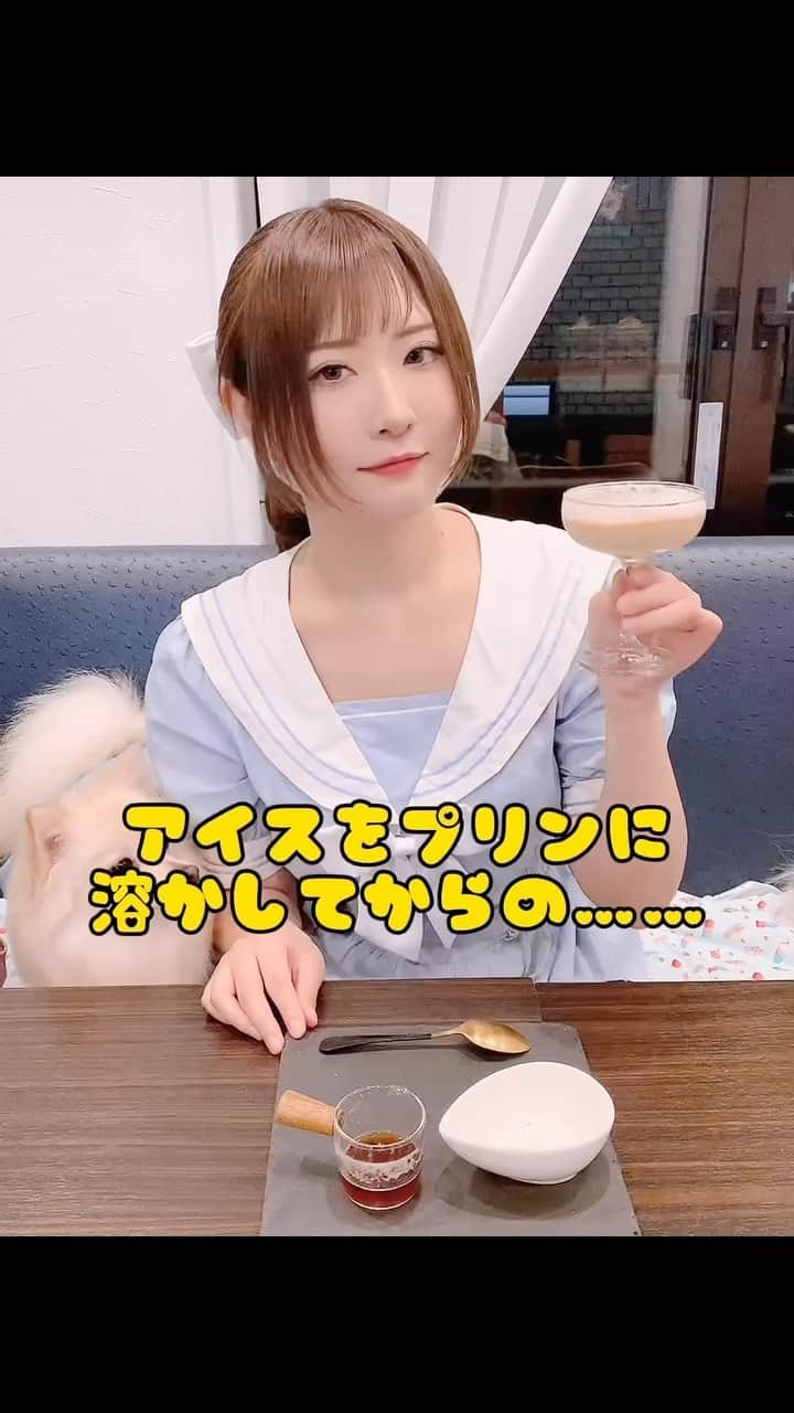 すみれおじさんのインスタグラム：「神楽坂のcafe&dogs ELZA (@elza_dog2023 )にお声がけ頂いて、新商品の”飲むプリン”の試食に行ってきました☺️  犬と一緒に遊びに行けるカフェはなかなかないので、こういったお店を知れる機会に恵まれてすごく良かった💓  飲むプリンは人間用なので、ゆずぽんには食べさせられないけどスイーツとして完成度高め！濾したプリンにアイスが乗っているのがいいですね🍨  バニラ味は特におすすめ！  せっかくなので、普通に食事もして来たのだけれどお料理もドリンクもすごく美味しい！また行きたいお店になりました💜  #me #photo #japan #japanese #japanesegirl #kawaii #girl #selfie #portrait #女孩 #소녀 #长发 #可愛#косплей #كوسبلاي #คอสเพลย์ #코스프레 #角色扮演 #照片 #사진 #일상 #셀피 #메이크업 #패션 #sweets #dogcafe」