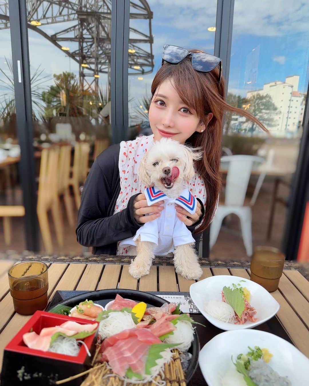 MAYUさんのインスタグラム写真 - (MAYUInstagram)「. きなちゃんとプチドライブ旅🐶🚗💨 . 運転中も隣でずっと見守ってくれていて 途中うとうとしたり💤、お利口さんだった🥺🤍 . 清水港まで行ってみたんだけど 風が気持ちよくて、お魚美味しくて とっても良かった〜☺️✨ . 3枚目は大あくび中のきなちゃん。🐶🥱笑 . . #ドライブ#清水港#愛犬#愛犬とドライブ#ちわぷー#チワプー」9月6日 18時34分 - mayu.kina_golf