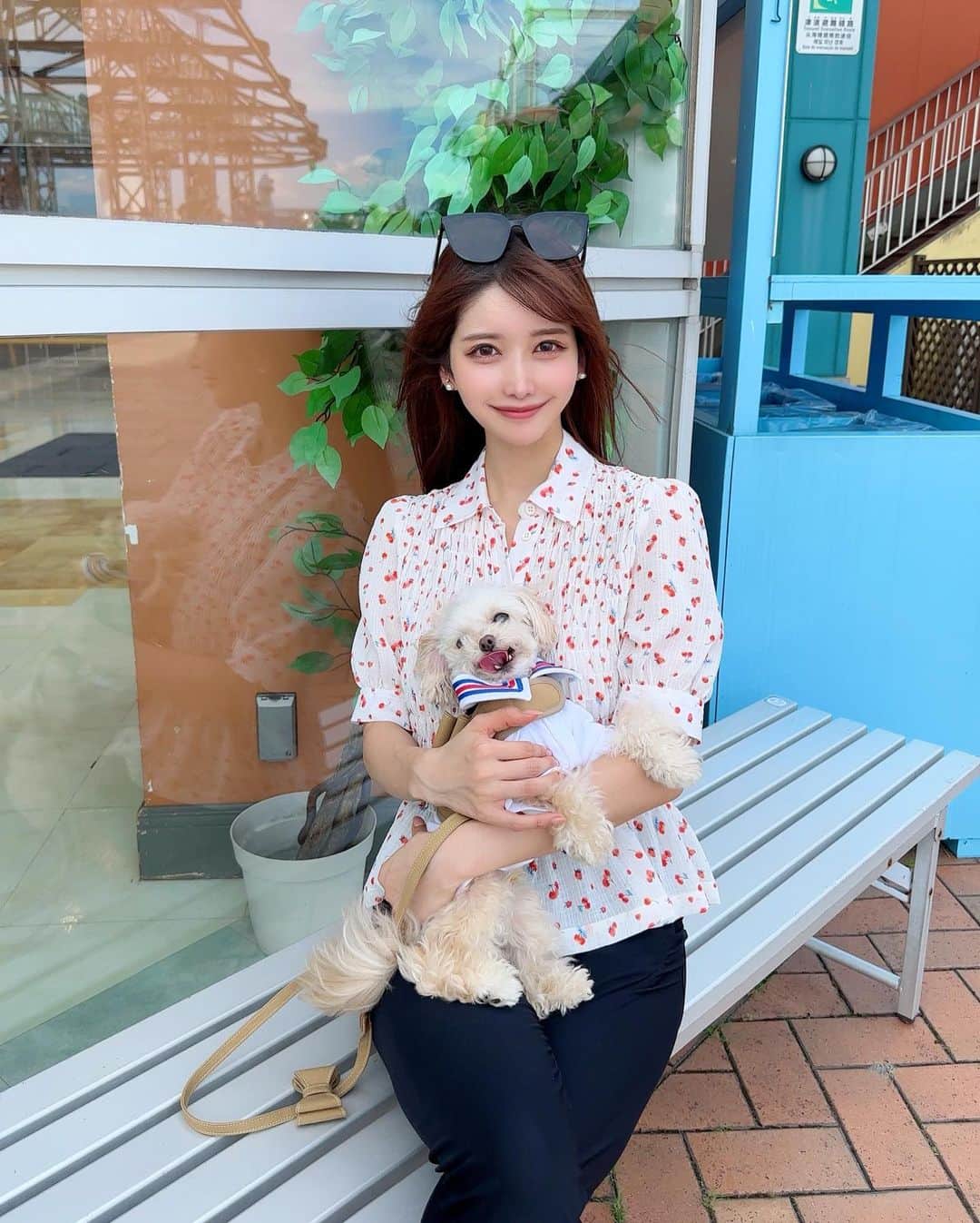 MAYUさんのインスタグラム写真 - (MAYUInstagram)「. きなちゃんとプチドライブ旅🐶🚗💨 . 運転中も隣でずっと見守ってくれていて 途中うとうとしたり💤、お利口さんだった🥺🤍 . 清水港まで行ってみたんだけど 風が気持ちよくて、お魚美味しくて とっても良かった〜☺️✨ . 3枚目は大あくび中のきなちゃん。🐶🥱笑 . . #ドライブ#清水港#愛犬#愛犬とドライブ#ちわぷー#チワプー」9月6日 18時34分 - mayu.kina_golf