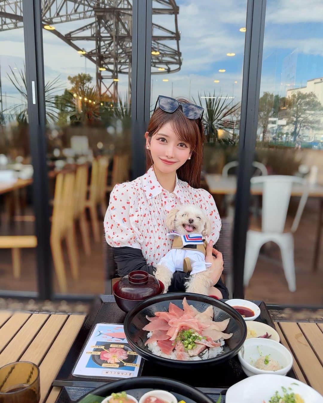 MAYUさんのインスタグラム写真 - (MAYUInstagram)「. きなちゃんとプチドライブ旅🐶🚗💨 . 運転中も隣でずっと見守ってくれていて 途中うとうとしたり💤、お利口さんだった🥺🤍 . 清水港まで行ってみたんだけど 風が気持ちよくて、お魚美味しくて とっても良かった〜☺️✨ . 3枚目は大あくび中のきなちゃん。🐶🥱笑 . . #ドライブ#清水港#愛犬#愛犬とドライブ#ちわぷー#チワプー」9月6日 18時34分 - mayu.kina_golf