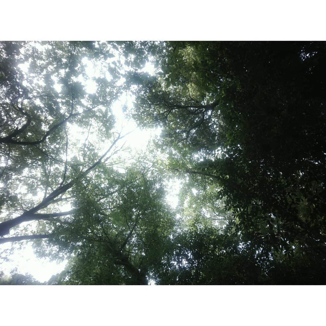 長尾寧音さんのインスタグラム写真 - (長尾寧音Instagram)「🌱 ⁡ 緑の空気が吸いたくて 気になってた公園に行ってきました〜 ⁡ ⁡ 私が調べてた時より人気スポットになってて あんまりゆっくりできなかったけど やっぱり緑は好きだなと写真みて思いました☺️ ⁡ ⁡ ⁡ 私の最近の毎日の幸せ時間は 移動中の雲の形をみることです☁️ ⁡ ⁡ ⁡ #papershoot」9月6日 18時38分 - nagaoshizune_official