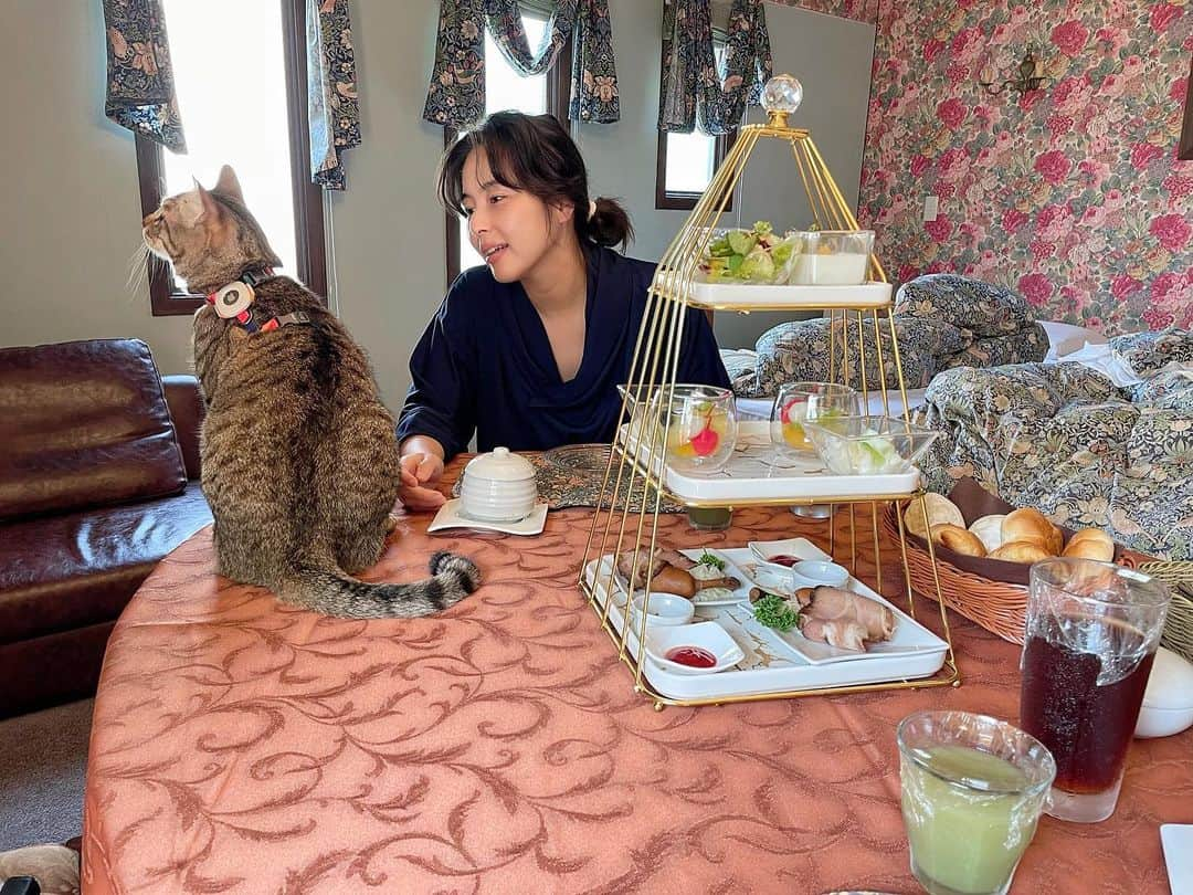 松崎夕さんのインスタグラム写真 - (松崎夕Instagram)「🐈  大切な家族と過ごせる空間があるなんて💯 松崎の夏休み、 #まつやすみ ☀️🍉🌻  #愛猫 #猫 #Cat #夏休み」9月6日 18時44分 - djyoumatsuzaki