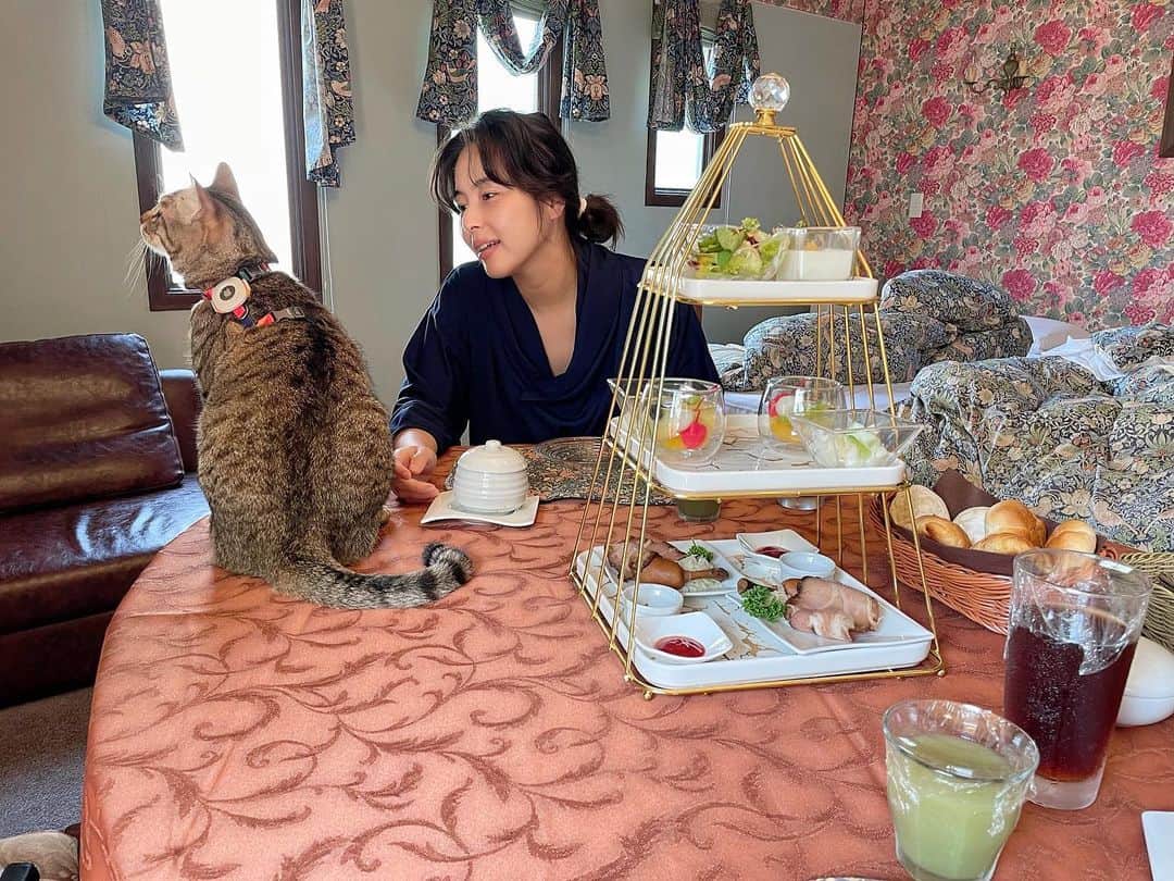 松崎夕のインスタグラム：「🐈  大切な家族と過ごせる空間があるなんて💯 松崎の夏休み、 #まつやすみ ☀️🍉🌻  #愛猫 #猫 #Cat #夏休み」