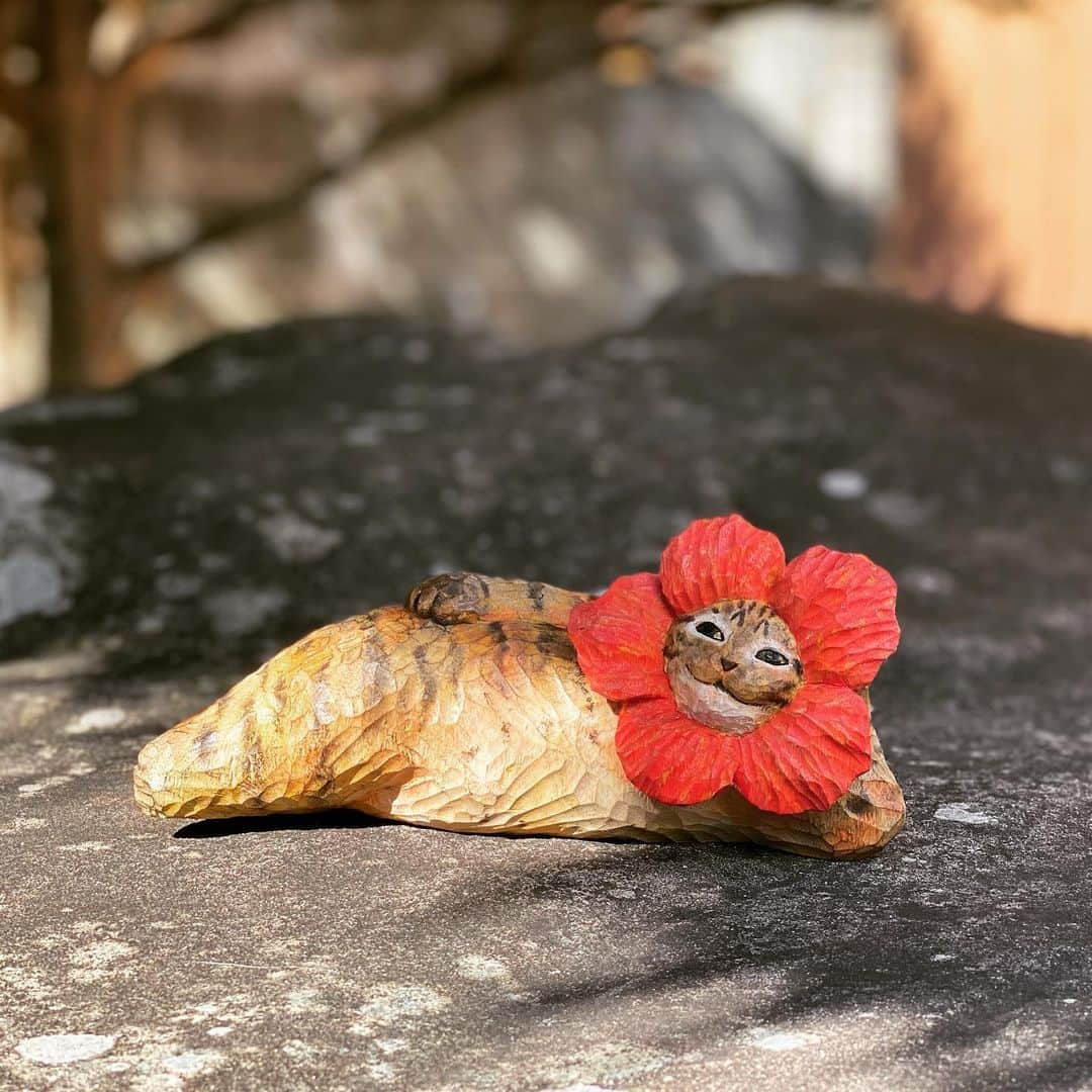 花房さくらさんのインスタグラム写真 - (花房さくらInstagram)「あぎじゃびょ〜  なんくるないさ〜  子どもの頃、3年間だけ沖縄に住んでました。 具志川市(現うるま市)です。  #🌺 #ハイビスカス  #cat #sculpture #hanafusasakura」9月6日 18時45分 - sakura_hanafusa