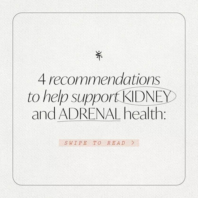 your-tea-your-teainstagram-the-adrenal-glands-produce