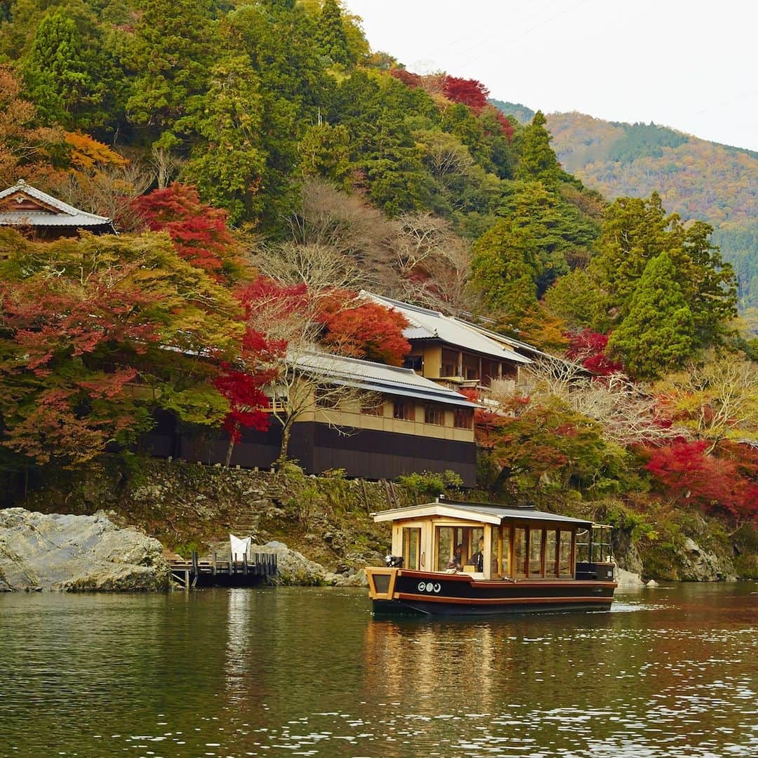 星野リゾートさんのインスタグラム写真 - (星野リゾートInstagram)「【錦秋の奥嵐山で過ごす秋🍁】 📍星のや京都 - HOSHINOYA Kyoto  まだまだ日中は暑い日が続きますが、朝夕には涼しい風が吹き、虫の音も聞こえる日が増えてきました。 今回は、秋を感じる施設をご紹介します。  秋になると嵐山全体は、色とりどりの紅葉で美しく染まります。 古の時代には貴族は船上で紅葉狩りを愉しんだといわれており、星のや京都の滞在は、そんな優雅な舟旅から始まります。  紅に染まる静かな奥嵐山に佇む水辺の私邸で、日常を忘れてお過ごしください。  #HoshinoResorts #星野リゾート #hoshinoya #星のや #リゾートホテル #ご褒美旅行 #hoshinoyaKyoto #星のや京都 #京都 #嵐山 #京都ホテル #京都旅館 #京都旅行 #kyototrip #おこもり宿 #紅葉」9月6日 19時00分 - hoshinoresorts.official