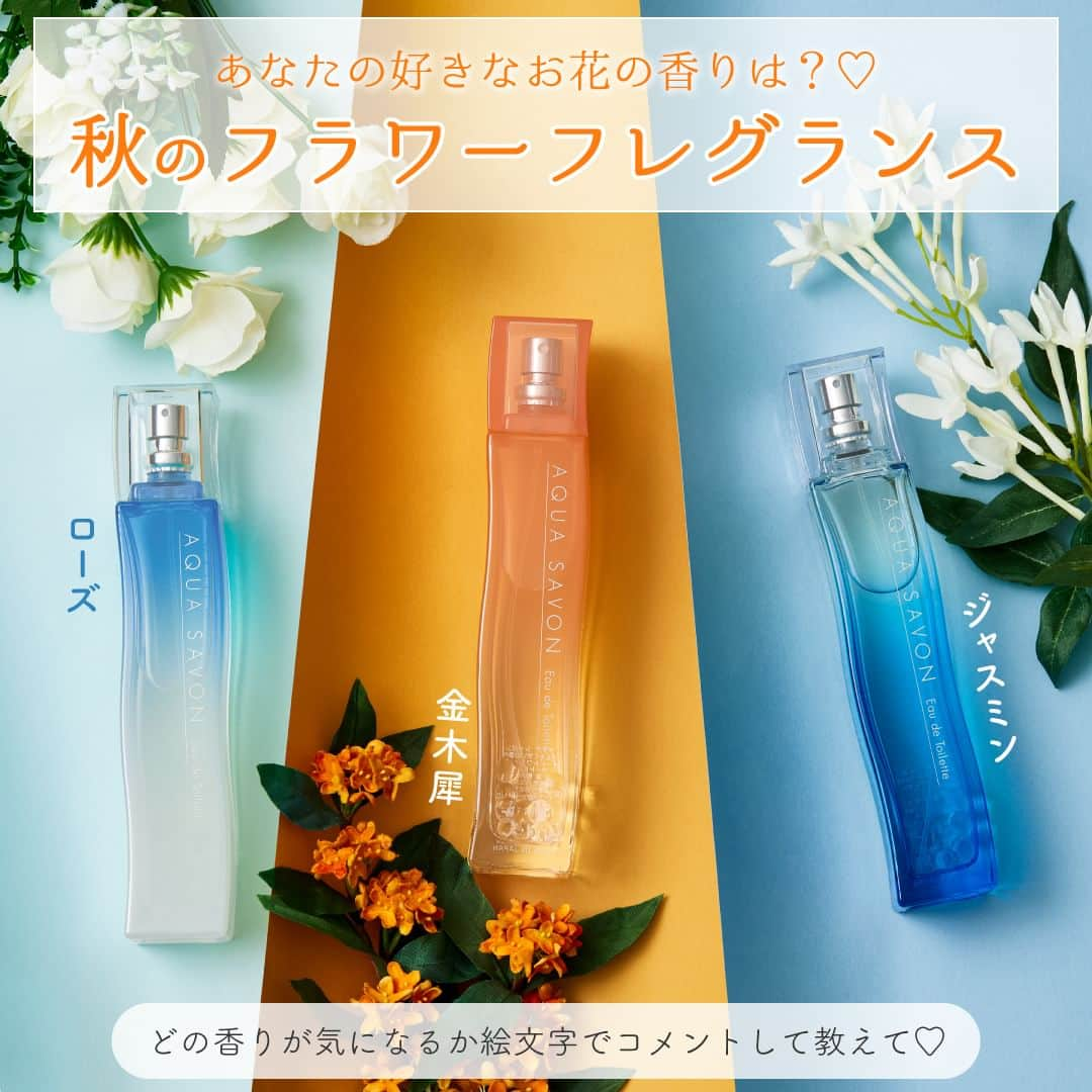 AQUASAVONのインスタグラム：「あなたのお気に入りの香りは？ 秋のフラワーフレグランス🍁  今回は、アクア シャボンのオードトワレから秋らしさ感じるお花の香りアイテムをご紹介🤎  みなさんはどの香りが気になりますか？ 絵文字をコメントして教えてください♪  💛アクア シャボン きんもくせいの香り オードトワレ（真ん中） 💗アクア シャボン 大好きなせっけんの香り オードトワレ（左） 💙アクア シャボン シャンプーフローラルの香り オードトワレ （右） 各80mL / ¥2,750（税込）  参考になったらいいね♡や保存してみてくださいね♪ アクアシャボンでは、誰からも愛されるシャボンの香りで 生活がより楽しくなる情報を発信中♪  その他、香水の付け方や人気の香り、 使い方などは公式アカウント @aquasavon.official からチェック👀✨ 　　　　　 #AQUASAVON #アクアシャボン #オードトワレ #香水 #大好きなせっけんの香り #シャンプーフローラルの香り  #きんもくせいの香り #花の香り #オードトワレ #香り #フレグランス #香水好きな人と繋がりたい #香り好きな人と繋がりたい  #きんもくせい #金木犀 #秋 #秋コスメ #秋の香り #秋の訪れ #シャボンの香り #石鹸の香り #せっけんの香り #シャンプーの香り #香水コレクション #ジャスミン #フローラル #ローズ」