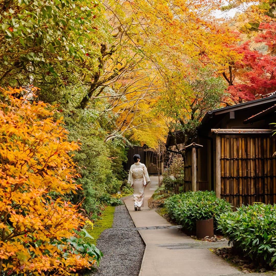星野リゾートのインスタグラム：「【錦秋の奥嵐山で過ごす秋🍁】 📍星のや京都 - HOSHINOYA Kyoto  まだまだ日中は暑い日が続きますが、朝夕には涼しい風が吹き、虫の音も聞こえる日が増えてきました。 今回は、秋を感じる施設をご紹介します。  秋になると嵐山全体は、色とりどりの紅葉で美しく染まります。 古の時代には貴族は船上で紅葉狩りを愉しんだといわれており、星のや京都の滞在は、そんな優雅な舟旅から始まります。  紅に染まる静かな奥嵐山に佇む水辺の私邸で、日常を忘れてお過ごしください。  #HoshinoResorts #星野リゾート #hoshinoya #星のや #リゾートホテル #ご褒美旅行 #hoshinoyaKyoto #星のや京都 #京都 #嵐山 #京都ホテル #京都旅館 #京都旅行 #kyototrip #おこもり宿 #紅葉」