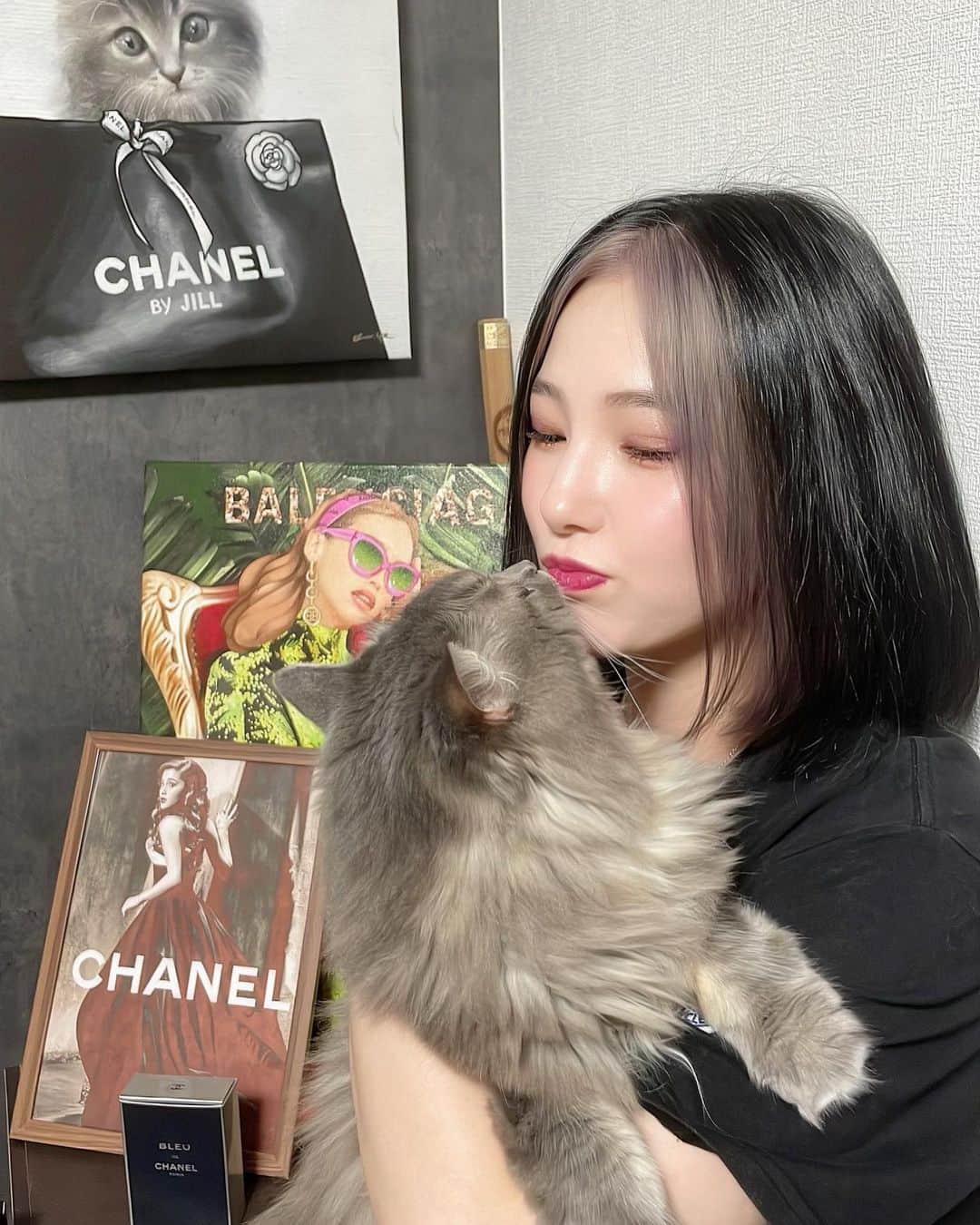 MIOのインスタグラム：「my sweetie~~~~🫶🏻🐈‍⬛🫧🩶  #家族 #猫のいる生活」