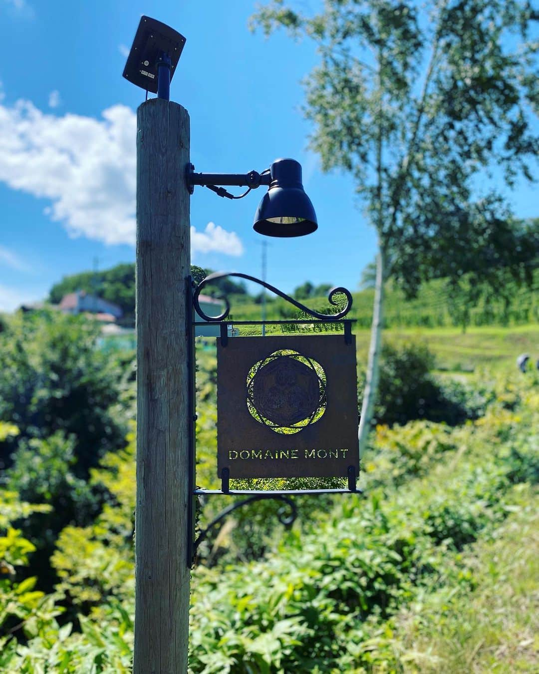 ひぐち君さんのインスタグラム写真 - (ひぐち君Instagram)「「La Fête des Vignerons à YOICHI 2023」🌿🌿  DOMAINE MONTへ⛰️  #ドメーヌモン  #lafêtedesvigneronsàyoichi  #ラフェトデヴィニュロンアヨイチ  #農園開放祭 #余市ラフェト #ラフェト #ラフェト2023 #余市町ふるさと納税  #北海道 #余市町 #登町  #日本ワイン 🇯🇵 #japanesewine #vinjaponais  #일본와인 #日本葡萄酒  #wine #vin #vino #wein #vinho #와인 #葡萄酒  #wineexpert  #tokyo 🗼 #余市町ワイン大使 ⭐️ #北海道新聞 📰 https://www.hokkaido-np.co.jp/article/898863/ #髭男爵ひぐち君の語る日本ワインサロン 📚 https://amzn.to/3DBTsSl #オンラインサロン #ひぐち君の日本ワイン会 💻 https://bit.ly/2KJ9DQy」9月6日 19時33分 - higehiguchi