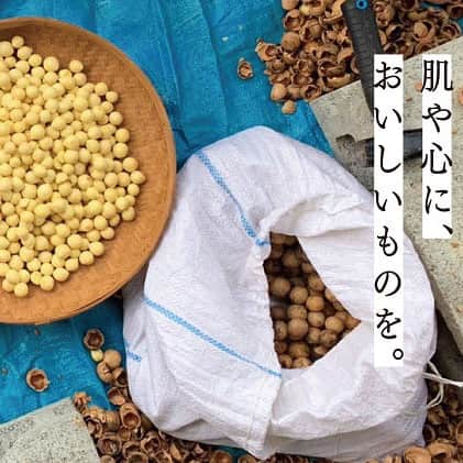 のインスタグラム：「夏が終わり、秋のリカバリー集中ケアにオススメ美容液。  水分と油分を同時に補給し、インナードライに陥った肌をケアするイルミナス ベルベット。 油分の補給も叶える、ベタつきなしの心地よくなじむ美容液。  【FEMMUE】 イルミナス ベルベット ¥6,600(税込)  天然のレチノールと呼ばれる植物由来のバクチオールを配合。 ミラクルオイルと呼ばれるカカイオイルも配合で、くすみ知らずのやわらか肌へサポートします。  【Antipodes】 イヴ バイオRTNセラム ¥6,600(税込)  #cosmekitchen #コスメキッチン #naturalcosmetics #ナチュラルコスメ #antipodes #antipodesskincare #アンティポディース #femmue #ファミュ #serum #美容液 #新作コスメ」
