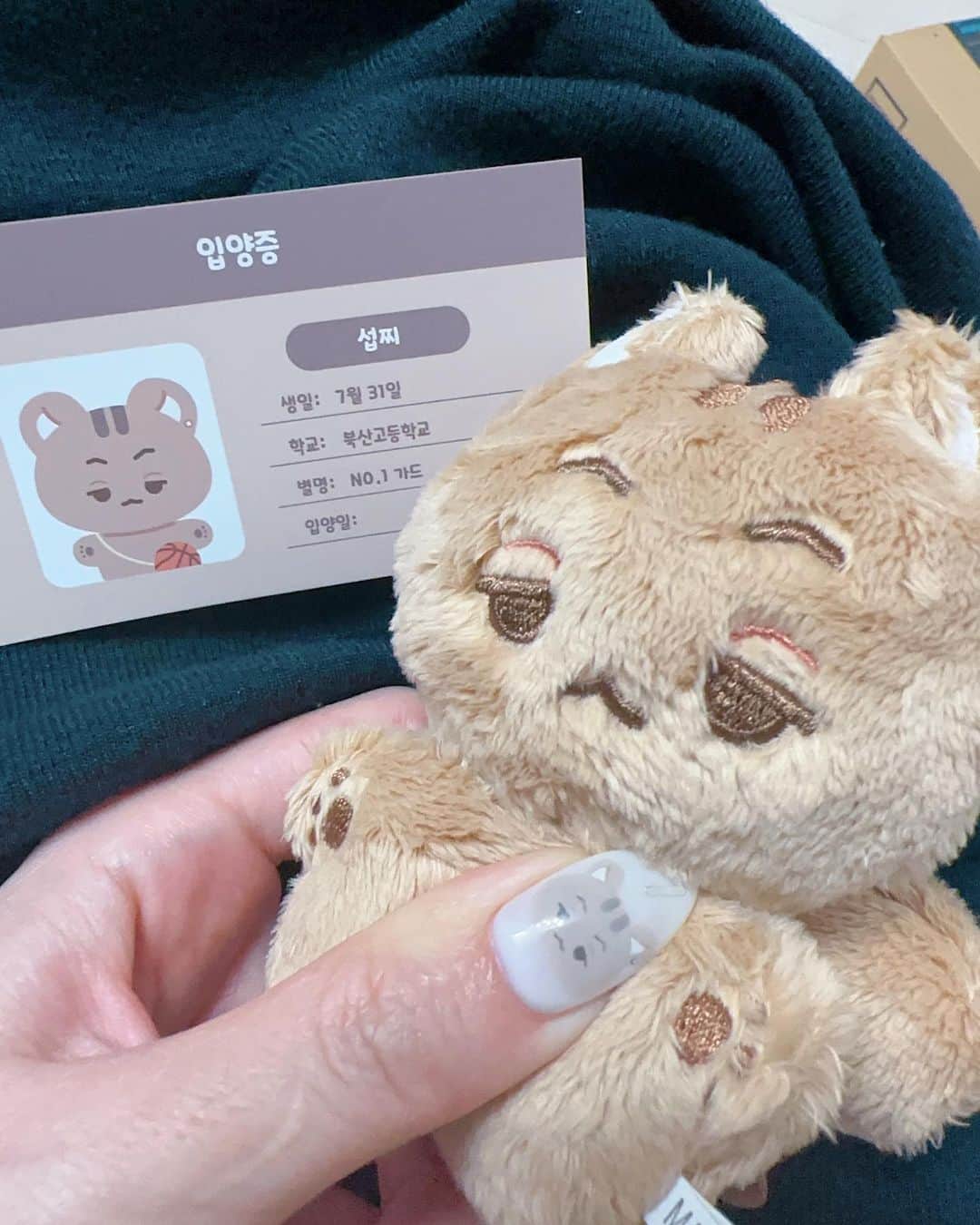 林檎蜜紀のインスタグラム：「NO.1 가드🧡🐿️🧡  ネイル変えた💅今回は秋のどんぐり🍂 りょーちん🐿️ネイル あっ、この女スラダンハマってる‼️🏀遅‼️（） 海外通販は明日方舟で完璧に把握した✊  🧡🆕💅slam dunk🏀 NO.1 가드  #スラムダンクネイル  #slamdunk  #10cmぬい  #どんぐりネイル  #🐿❤️  #송태섭뚫어🏀⛹️‍♀️⛹️⛹️‍♂️  #송태섭  #指先が宝石  #概念ネイル #スラダンネイル」