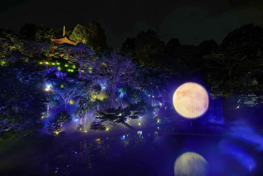 ホテル椿山荘東京さんのインスタグラム写真 - (ホテル椿山荘東京Instagram)「. ホテル椿山荘東京　庭園ライトアップが 第18回「日本夜景遺産」の新規認定地に認定されました㊗️  A NIGHT VIEW HERTAGE OF JAPAN!  ホテル内の演出が日本夜景遺産に認定された事は史上初であり、日本夜景遺産の新しい価値・可能性を広めた存在として注目していると評価をいただきました。 ありがとうございました✨  これから秋には月、冬には紅葉とまた美しい季節がやってきます🍁 今後も自然溢れる庭園を守り、多くの皆様に癒しをご提供してまいります🌿  @hotelchinzansotokyo_official  @hotelchinzansotokyo_wedding  #日本夜景遺産 #ライトアップ夜景遺産 #ライトアップ  #庭園ライトアップ #夜景  #夜景スポット #夜景撮影」9月6日 20時13分 - hotelchinzansotokyo_official