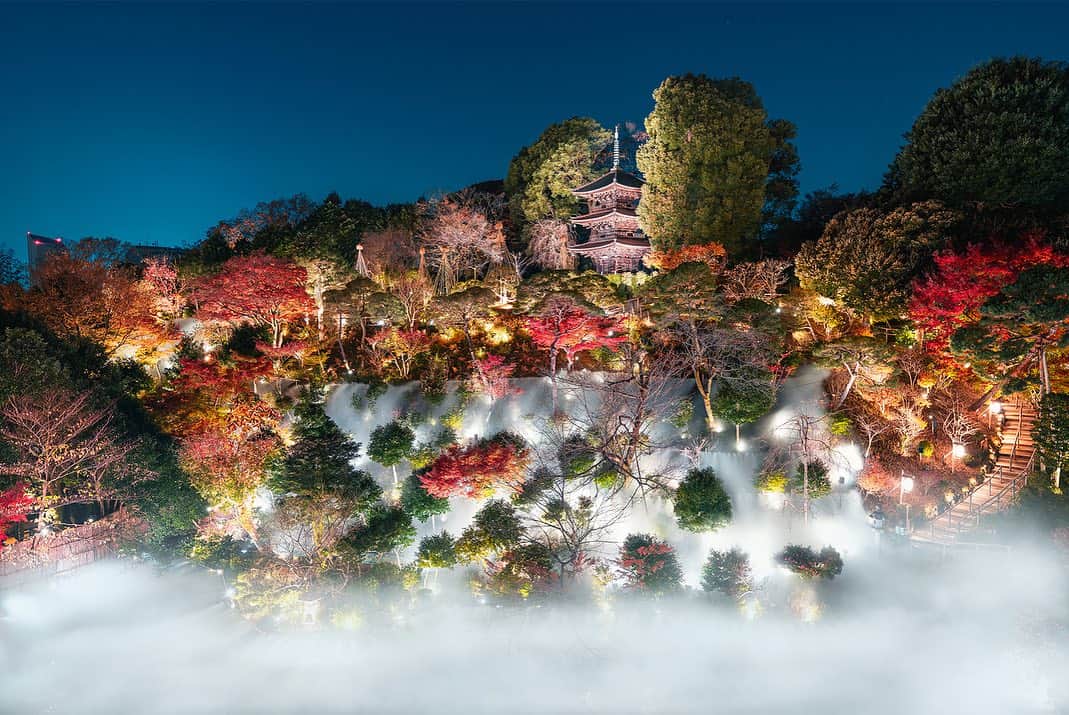 ホテル椿山荘東京さんのインスタグラム写真 - (ホテル椿山荘東京Instagram)「. ホテル椿山荘東京　庭園ライトアップが 第18回「日本夜景遺産」の新規認定地に認定されました㊗️  A NIGHT VIEW HERTAGE OF JAPAN!  ホテル内の演出が日本夜景遺産に認定された事は史上初であり、日本夜景遺産の新しい価値・可能性を広めた存在として注目していると評価をいただきました。 ありがとうございました✨  これから秋には月、冬には紅葉とまた美しい季節がやってきます🍁 今後も自然溢れる庭園を守り、多くの皆様に癒しをご提供してまいります🌿  @hotelchinzansotokyo_official  @hotelchinzansotokyo_wedding  #日本夜景遺産 #ライトアップ夜景遺産 #ライトアップ  #庭園ライトアップ #夜景  #夜景スポット #夜景撮影」9月6日 20時13分 - hotelchinzansotokyo_official