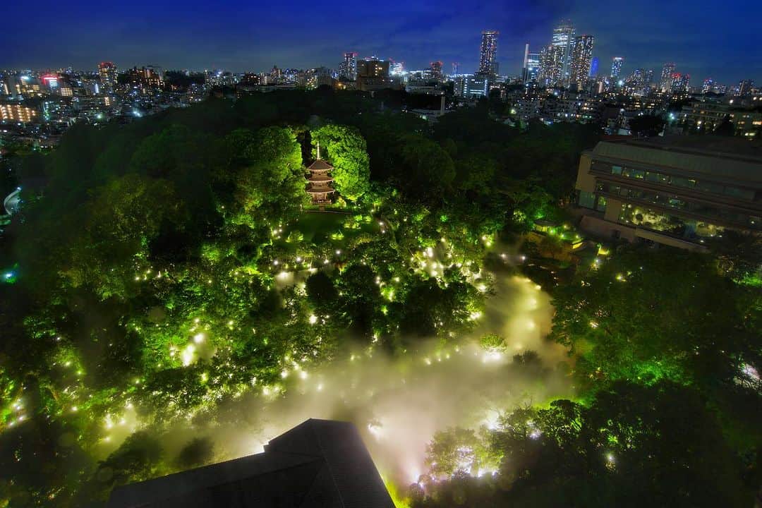 ホテル椿山荘東京のインスタグラム：「. ホテル椿山荘東京　庭園ライトアップが 第18回「日本夜景遺産」の新規認定地に認定されました㊗️  A NIGHT VIEW HERTAGE OF JAPAN!  ホテル内の演出が日本夜景遺産に認定された事は史上初であり、日本夜景遺産の新しい価値・可能性を広めた存在として注目していると評価をいただきました。 ありがとうございました✨  これから秋には月、冬には紅葉とまた美しい季節がやってきます🍁 今後も自然溢れる庭園を守り、多くの皆様に癒しをご提供してまいります🌿  @hotelchinzansotokyo_official  @hotelchinzansotokyo_wedding  #日本夜景遺産 #ライトアップ夜景遺産 #ライトアップ  #庭園ライトアップ #夜景  #夜景スポット #夜景撮影」