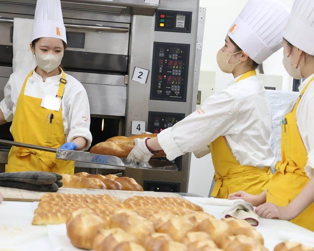 神戸製菓専門学校（公式）さんのインスタグラム写真 - (神戸製菓専門学校（公式）Instagram)「🥖1年間、最短でプロのパン職人をめざせる #製パン本科 🍞  ●パンを食べるのが大好き ●美味しいパンを自分でも作れるようになりたい ●パン屋さんで働くことに憧れる  製パン本科(昼1年制)はそんな方にオススメの学科🍞  1年間のカリキュラムの約84％が実習・演習❗️ しかも、ほとんどが製パン実習🥐😍 関西唯一とことんパンを学べる学校です✨  初心者大歓迎‼️ 160種類以上のパンを計量から仕上げまで じっくり学んでプロを目指しましょう🎵  今年も幅広い年齢の方がパンを学んでいます🥐  入学を検討されている方は、まずは オープンキャンパスや説明会へお越しください✨🫶  #神戸製菓　#神戸製菓専門学校  #製パン本科　#パン職人　#パン屋　#パン作り　#パン　#パン活  #製パン専門学校　#製パン　#神戸　#三ノ宮　#pattistagram2023」9月6日 20時58分 - kobeseika_info