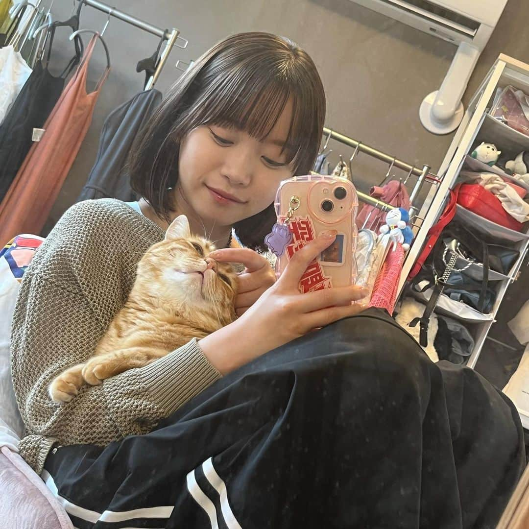 架乃ゆらさんのインスタグラム写真 - (架乃ゆらInstagram)「うちの猫は鼻の頭を触ると変な顔になったあとにあくびをします #かわいいね」9月6日 21時14分 - kano__yura