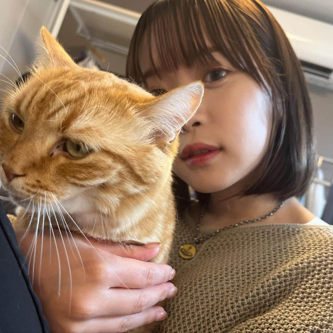 架乃ゆらさんのインスタグラム写真 - (架乃ゆらInstagram)「うちの猫は鼻の頭を触ると変な顔になったあとにあくびをします #かわいいね」9月6日 21時14分 - kano__yura