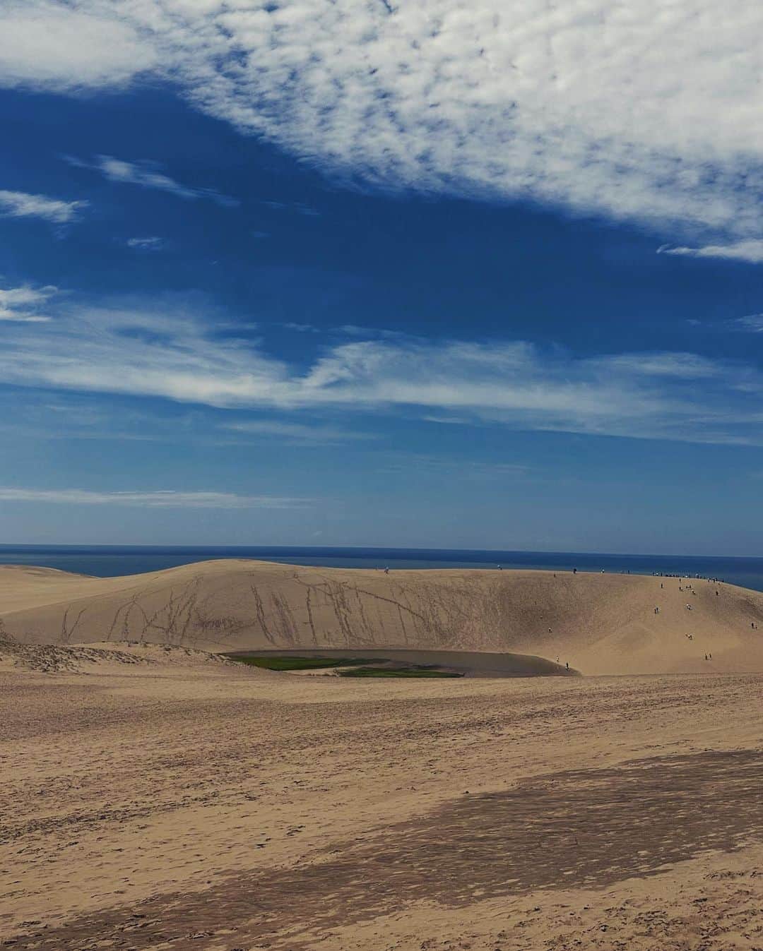 織田梨沙のインスタグラム：「とりとりとっとりさきゅぅー🐤 砂と空のみで出来た景色かと思ってたらまさか水が溜まって緑もあると思わなかった。自然のこのバランス魅力的過ぎる。」