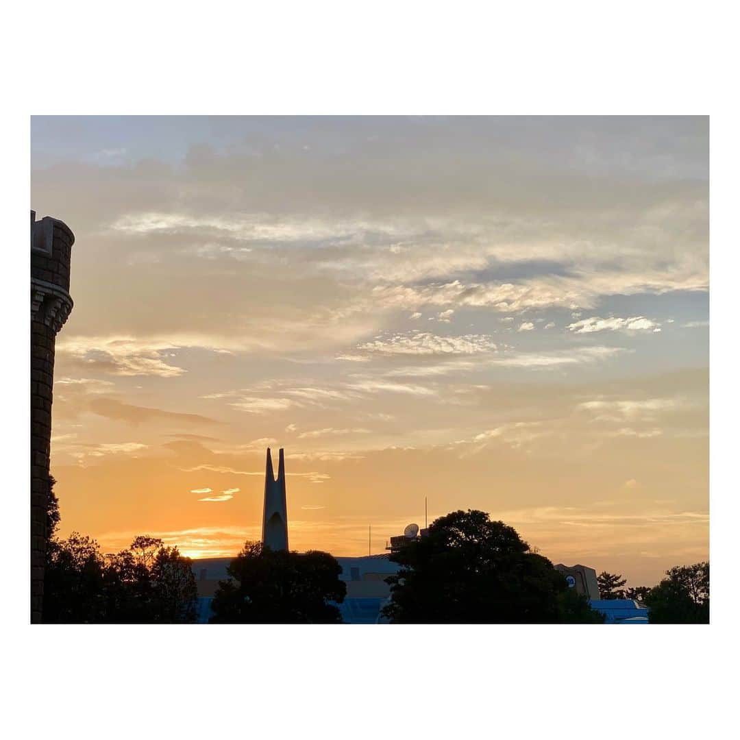 のインスタグラム：「. #隠れミッキー  #tokyodisneyresort #photo #📷」