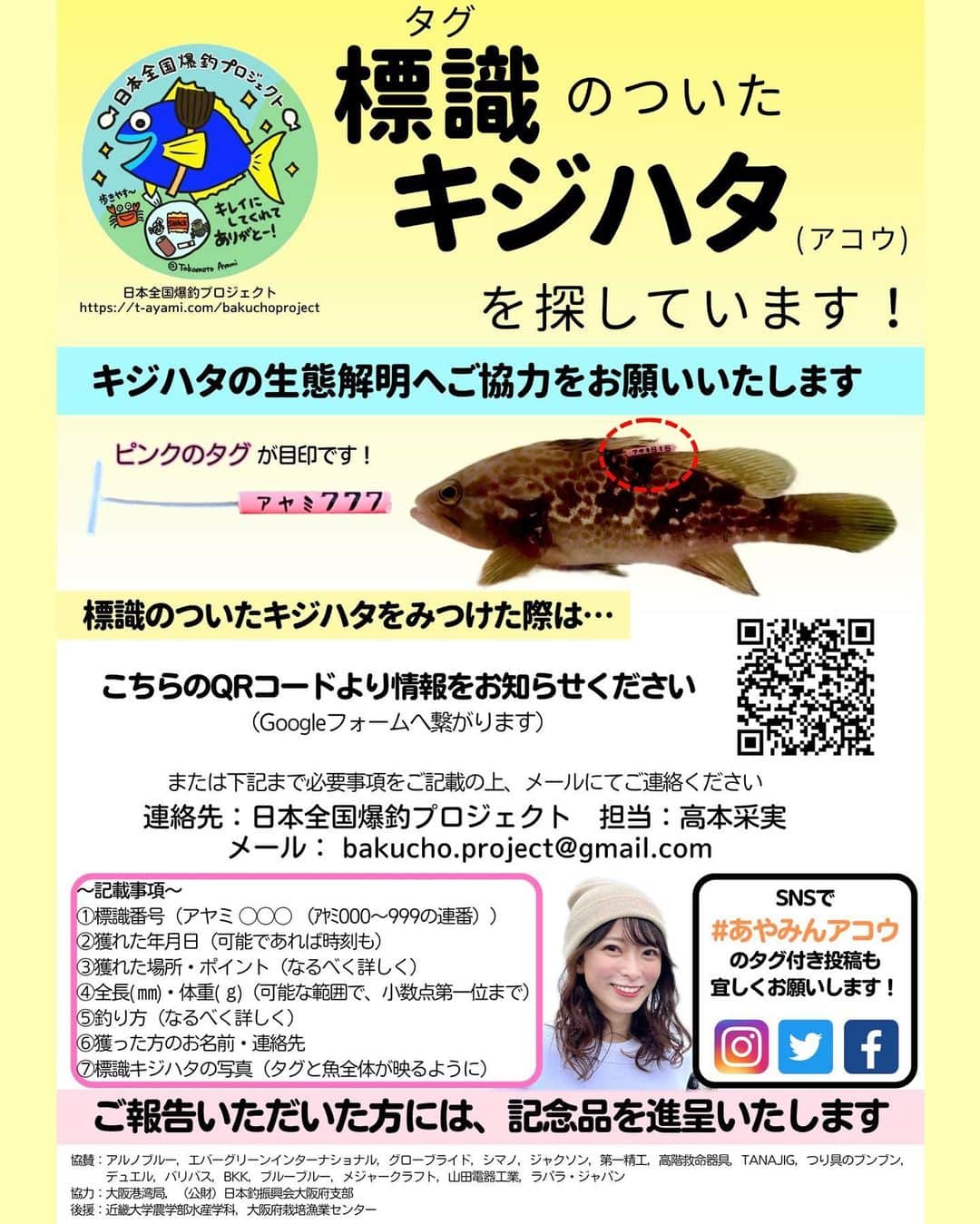 高本采実のインスタグラム：「🌏 🐟日本全国爆釣プロジェクト🐟 ＼「あやみんアコウ」を大阪湾へ放流しました！／  2022年4月より、釣りが好きな皆さんと一緒にシーサイドコスモで清掃活動を続けてきました。 その際に稚魚放流のため皆さんより募らせていただいたご寄付がようやく形となりました！  キジハタ稚魚：640匹（¥211,200） タグ：1000本（¥37,092） （詳細：第12回清掃活動の収支報告書）  今回、稚魚放流に参加させていただいた (公財)日本釣振興会 大阪府支部のキジハタ360匹にもタグを打たせていただき、 合計1000匹のキジハタにタグを打ちました。  今頃どこまで泳いで元気に育っているのか、 どれくらい大きくなっているのか、 気になることがたくさんです🥹✨ とにかく元気に過ごしてくれてたらいいなと願いつつ、 あやみんアコウと再会できる日を楽しみにしています🐟🤍 みなさんからの釣果報告もすっごく楽しみにしています！✨ 釣れたら是非 「 #あやみんアコウ 」のタグ付け投稿をお願いいたします🥺🐟  ●タグ打ち（2023.8.22） 大阪府岬町にあります栽培事業場にて、 母校である近畿大学農学部水産学科の学生さんと先生ご協力の元、 キジハタ稚魚1000匹にピンクのタグ打ち、サイズ測定(全長・体重)を行いました。  ●放流（2023.8.24） 公益財団法人日本釣振興会大阪府支部と大阪府釣り団体協議会による大阪湾への稚魚放流に、日本全国爆釣プロジェクトスタッフみんなと参加させていただきました。 今回、(公財)日本釣振興会 大阪府支部へご寄付しまして、日本全国爆釣プロジェクトからもキジハタ稚魚を放流いたしました。 大阪湾(北港〜南港)にてピンクのタグが付いた1000匹のあやみんアコウが大阪湾へと放流されました。  ●キジハタ生態解明へ向けて 釣り人のみなさんにご協力のお願いです！ 今回放流したピンクの標識がついたキジハタが釣れた際は、画像1枚目を参考に情報提供をお願いいたします🐟 皆さんからいただいた情報が、キジハタの生態解明へ繋がります。 またあやみんアコウが釣れた際は、なるべく速やかにリリースをお願いいたします。  ＿＿＿＿＿＿＿＿＿＿＿＿＿＿＿＿＿＿＿＿ 〜日本全国爆釣プロジェクト〜  協賛：アルノブルー @arunoblue 、エバーグリーンインターナショナル @evergreen_saltwaterfishing 、グローブライド @daiwa_japan 、シマノ @shimanofishing_jp 、ジャクソン @jacksonlure 、第一精工 @daiichiseiko_official 、高階救命器具 @bluestorm.official 、TANAJIG @tanajig1091 、つり具のブンブン @turiguno_bunbun 、デュエル @duel_yozuri 、バリバス  @varivas_japan 、BKK @bkk_japan 、ブルーブルー @blueblue_fishing 、メジャークラフト @majorcraft.official 、山田電器工業 @hapyson_official 、ラパラ・ジャパン @rapalajapan   協力：大阪港湾局、(公財)日本釣振興会大阪府支部  後援：近畿大学農学部水産学科、大阪府栽培漁業センター ＿＿＿＿＿＿＿＿＿＿＿＿＿＿＿＿＿＿＿＿  〜日本全国爆釣プロジェクト スタッフ〜 くわがた心 @kokoro_kuwagata_888  ただただし @tadatadasshi  さきやん @sakiyan_318  モンスーン T@TSU @tatsu_bigt  構成作家 上村茶屋 @chaya01up  下川はじメロディ @hajimeshimokawa   これからもずっと釣りが楽しめる環境作りをしていけるよう頑張っていきます！🐟🌱  ______________________________________ 🐟日本全国爆釣プロジェクト🐟とは？  これからもずっと釣りが楽しめる環境作りを目的とし、その一環として清掃活動と稚魚放流を目指したプロジェクト。 2022年4月よりスタートしました！ ついに今年2023年8月！キジハタ稚魚をタグ打ち&大阪湾へ放流いたしました。  . . . . .  #日本全国爆釣プロジェクト #大阪港 #南港 #北港 #清掃活動 #朝活 #シーサイドコスモ #コスモスクエア #ゴミ拾い #ボランティア #キジハタ #あやみんアコウ #稚魚放流 #根魚 #ロックフィッシュ #rockfish #アコウ #アコウ釣り #魚好き #釣り好き #アングラー #fishinggirl #高本采実 #あやみん #ayamistagram」