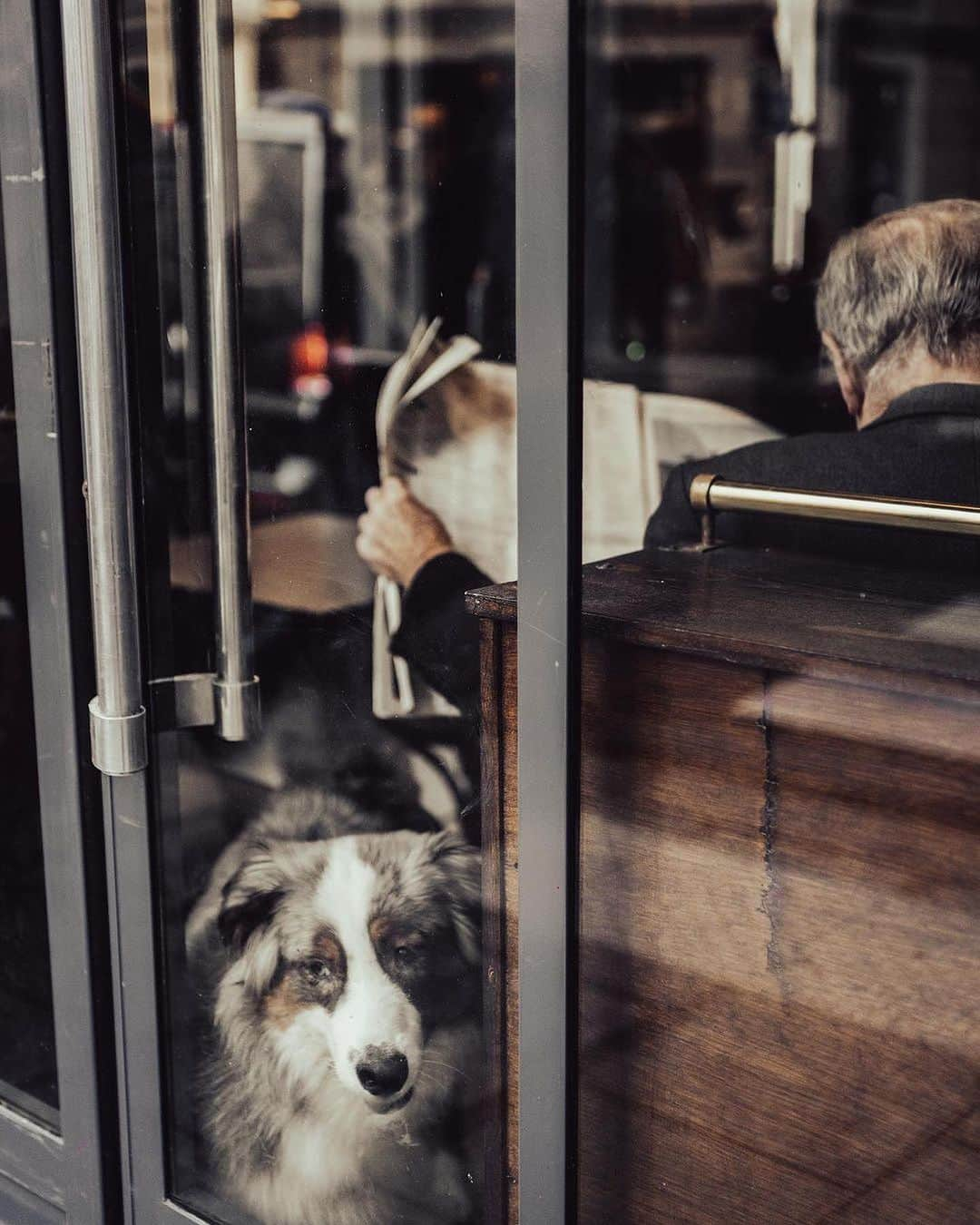 VuTheara Khamさんのインスタグラム写真 - (VuTheara KhamInstagram)「Newspapers Collection, Paris 📰🗞️ A series of pictures taken in Paris. Which one do you prefer ? [1-10] 1. Palais Royal Garden 2. Tuileries Garden 3-4. Île Saint-Louis 5. Île de la Cité 6-7-8. Saint-Germain des Prés 9. Notre-Dames 10. Batignolles  . #paris #summervibes #news #newspaper」9月6日 21時40分 - vutheara