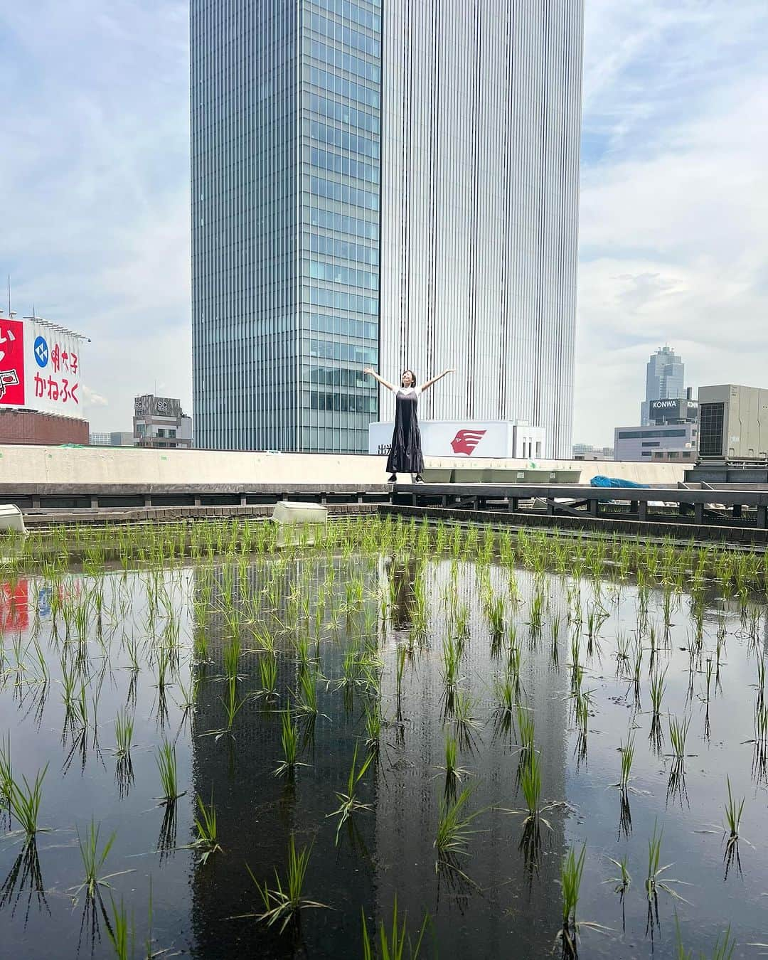 市野瀬瞳のインスタグラム：「Youtubeロケで白鶴酒造にお邪魔した日。 都内ど真ん中の本社屋上で、まさかの酒米づくり！！😳 足を踏み入れることができて感無量でした…  #白鶴酒造 #試飲までさせて頂きました ・ #養老乃瀧アンバサダー への道 #市野瀬瞳 #唎酒師 #sakediploma」