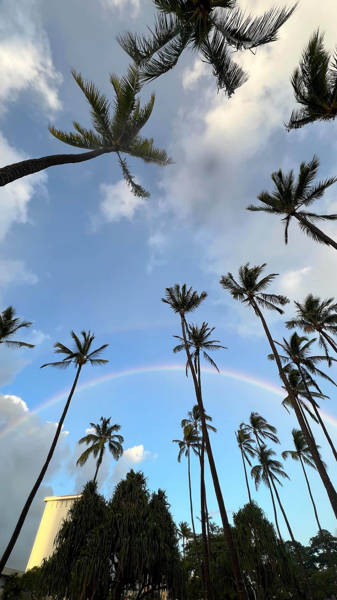 のインスタグラム：「. Hawaii reel ラスト帰国編✨  ハワイ生活一カ月を毎日リールにする‼️という 課題を今日で無事終えることができました😄笑  毎日詰め込んで行動してたわけではなく、 動きたくない日にちょろっと出た先の些細な瞬間もビデオを撮って残そうとしてくれたマネージャーには感謝です🙏🏽✨  ありがとう👏🏽👏🏽👏🏽👏🏽  そしてハワイリールを楽しみにしてくださったフォロワー様 見てくださった皆さんありがとうございました❤️‍🔥❤️‍🔥❤️‍🔥  明日からはまた日常や仕事のこともしっかりUPしていきますので、引き続きよろしくお願いします😍🙏🏽  ____________________________  そして最後にハワイのプレゼント企画🎁  @reroom_tokyo @sunsbyreroom @things_s_like @ily.b.c をフォローして、 Hawaiiリール編のどこかの投稿で買った🐙のぬいぐるみのお値段を予想してね😁難しいかもw  ※もう一度やり直すから、以前コメントくださった方もこちらの投稿にお値段を書いてください🙏🏽🥹  プレゼントの数は今回のハワイで沢山見た🌈の中の色の数、俺が思うに7色にちなんで7つです🫡笑  ピタリ賞でるかな？笑 ピタリがいたら全部あげたい❤️‍🔥☜絶対当たらないと思ってる。笑  ピタリがいなかった場合は、お値段の近い人から順に当選させてもらいます✨  ではよーいスタート‼️  #hawaii  #タコのぬいぐるみ買ったのアウラニじゃなくてロイヤルハワイアンだ笑 #プレゼントは後ほどストーリーに載せます」