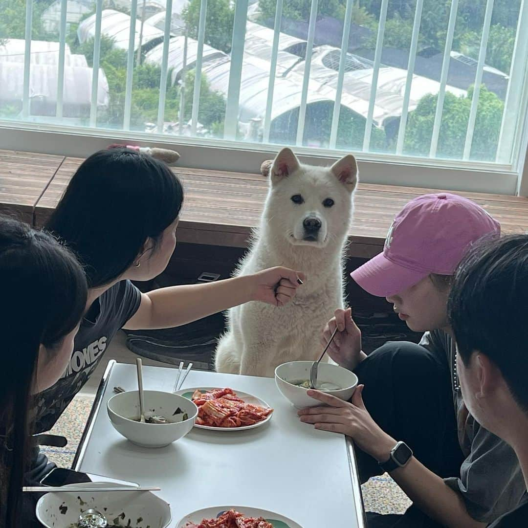 ソル・イナさんのインスタグラム写真 - (ソル・イナInstagram)「당근을 흔들어주세요🥕」9月6日 22時20分 - _seorina