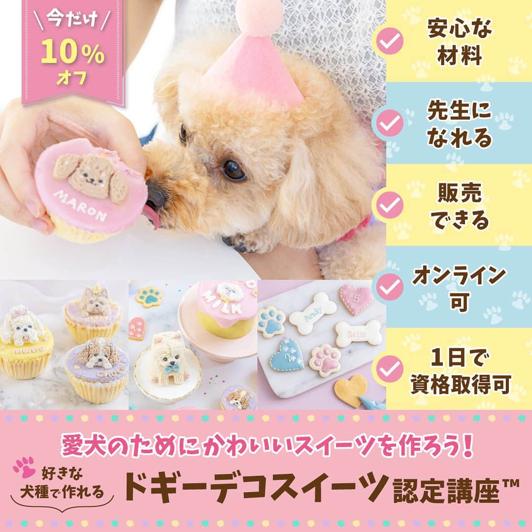 日本サロネーゼ協会のインスタグラム：「. ＼愛犬のためのスイーツ講座／  わんちゃんが大喜び🐶‼︎ 栄養満点・安心な材料で 可愛いスイーツを作りませんか？  アイシングクッキー・カップケーキ・似顔絵ケーキ・3Ｄケーキ・バースデーケーキなど、　 愛犬の記念日を彩るスイーツ作りを学べる講座です。  ☑︎東京・名古屋・芦屋・福岡・オンラインで開催 ☑︎最短1日で資格取得 ☑︎好きな犬種で作れる ☑︎砂糖・小麦粉・牛乳・合成着色料不使用 ☑︎販売や教室開講が可能 ☑︎副業におすすめ  #犬のおやつ手作り  #犬のケーキ  #犬のケーキ販売 #日本サロネーゼ協会 #好きを仕事に」