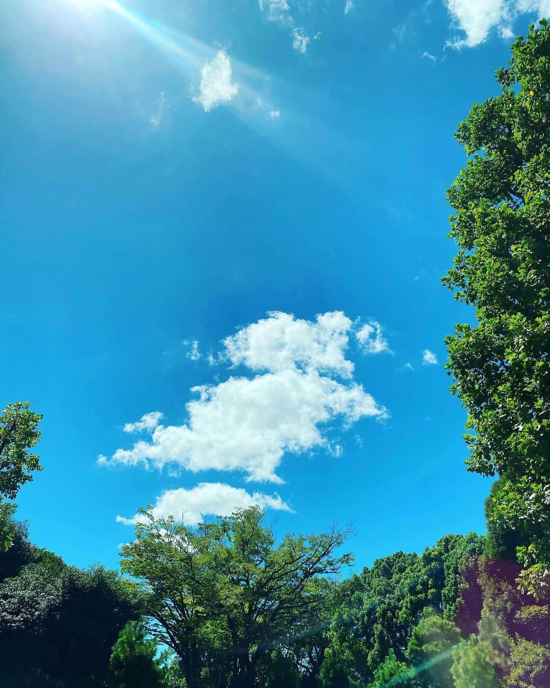 中崎絵梨奈さんのインスタグラム写真 - (中崎絵梨奈Instagram)「空の青と雲の白のコントラストが すきだった日。」9月6日 23時02分 - nakazaki_erina