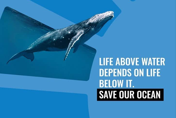 ジェイソン・モモアさんのインスタグラム写真 - (ジェイソン・モモアInstagram)「"Without a healthy ocean, life as we know it wouldn’t exist.”  We couldn’t agree more with @unep Advocate for Life Below Water Jason Momoa (@prideofgypsies).  The actor and activist has joined our SDG Circle of Supporters to help accelerate progress towards achieving the #GlobalGoals, especially Goal 14 to conserve and sustainably use our ocean, seas and marine resources.  “Our ocean is in trouble,” he stresses. “The time to act is now.”  From using environmentally-safe sunscreen, to protecting coral reefs when diving and boating, to only consuming sustainable fish and seafood, ending single use plastics, and raising your voice to encourage business practice for a healthier environment, each of us can take action to help #SaveOurOcean #ForNature and #ForCoral.  📷: #Throwback to 2022, when Jason Momoa – photographed here with his children and UNEP’s @susan.cgardner - was designated as UNEP Advocate for Life Below Water at the #UnitedNations Ocean Conference. (Photo: Mainei Kinimaka)  #ActNow」9月6日 23時05分 - prideofgypsies